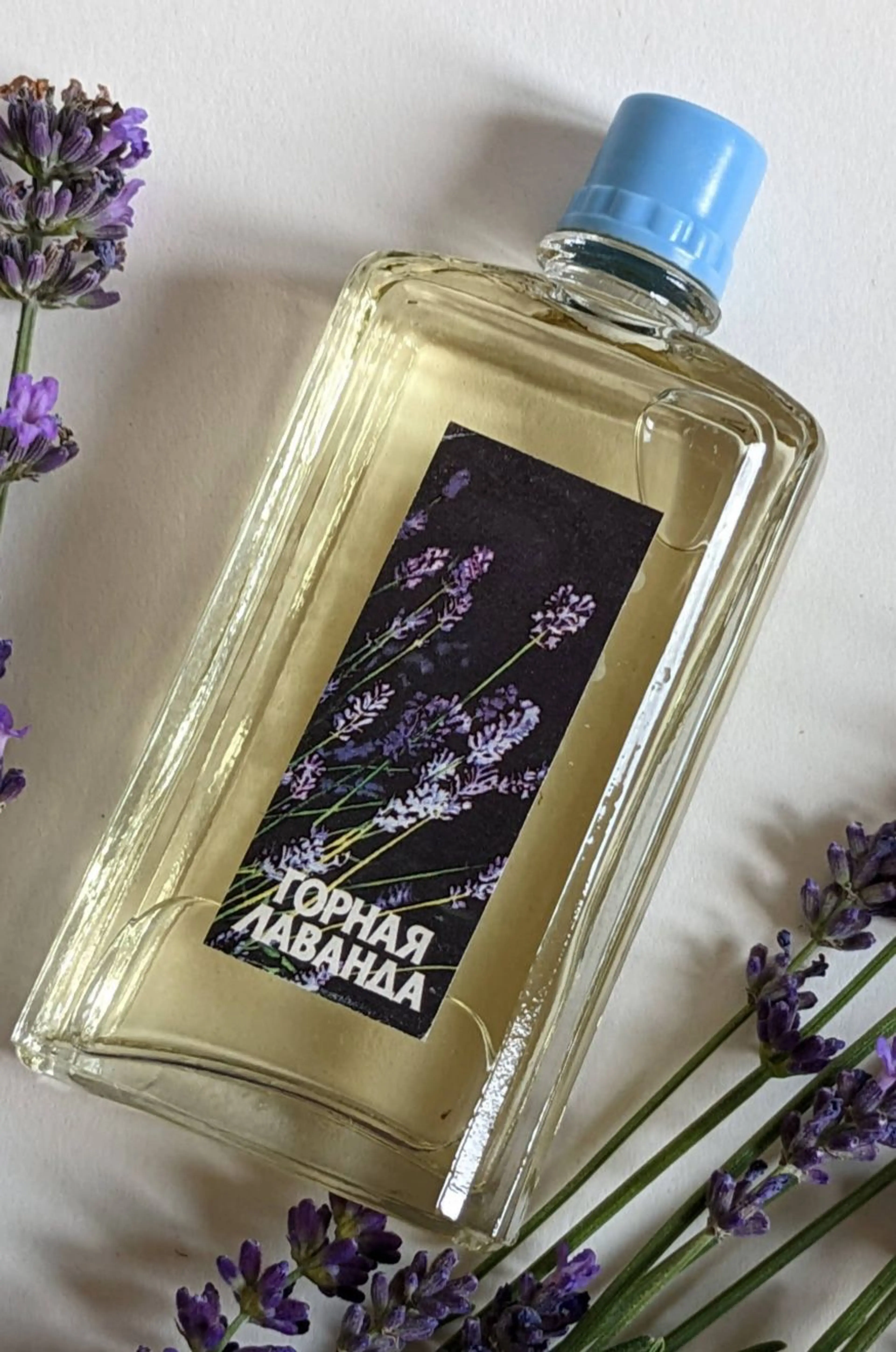 Горная лаванда (Mountain Lavender)