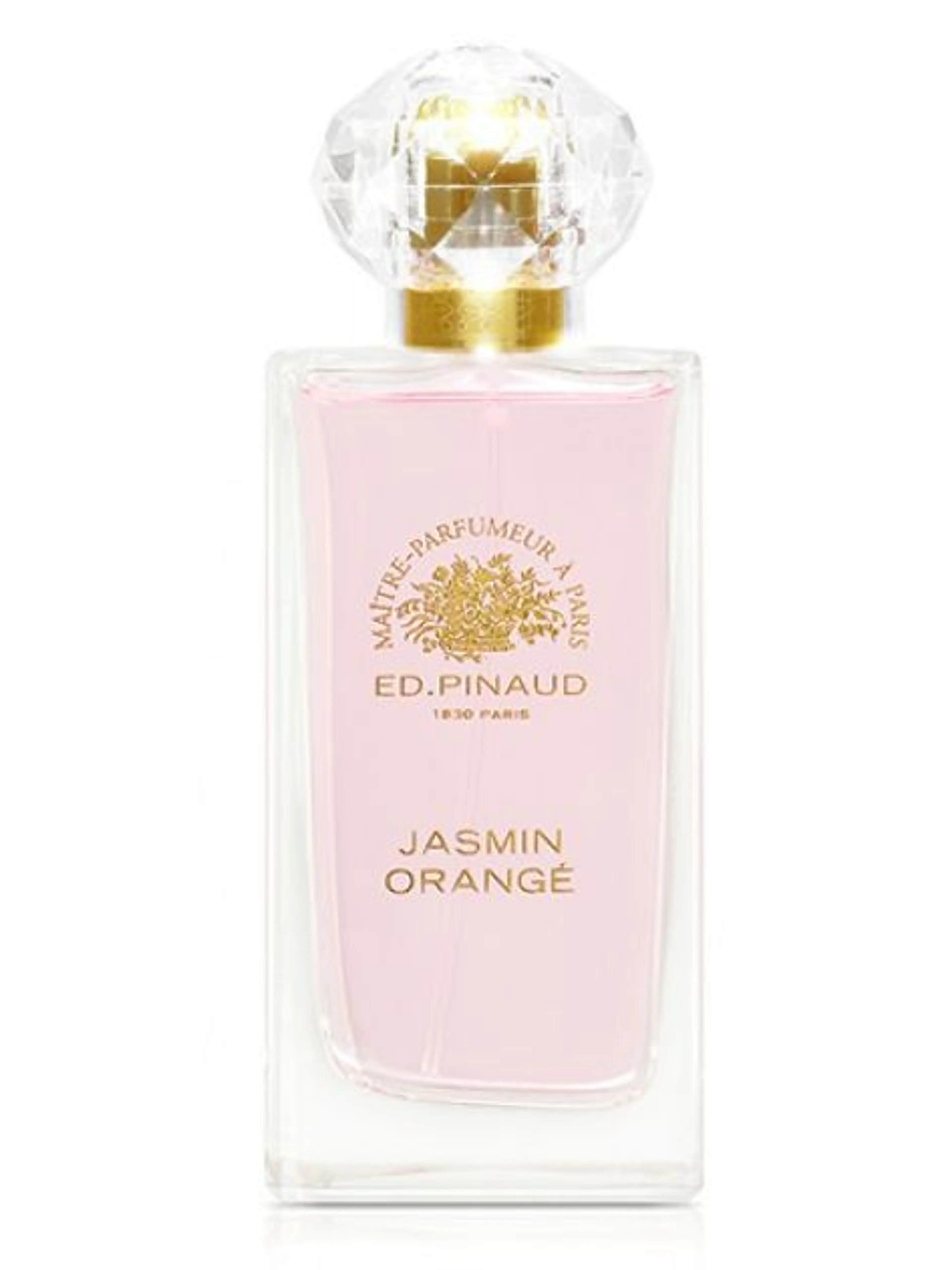 Jasmin Orangé