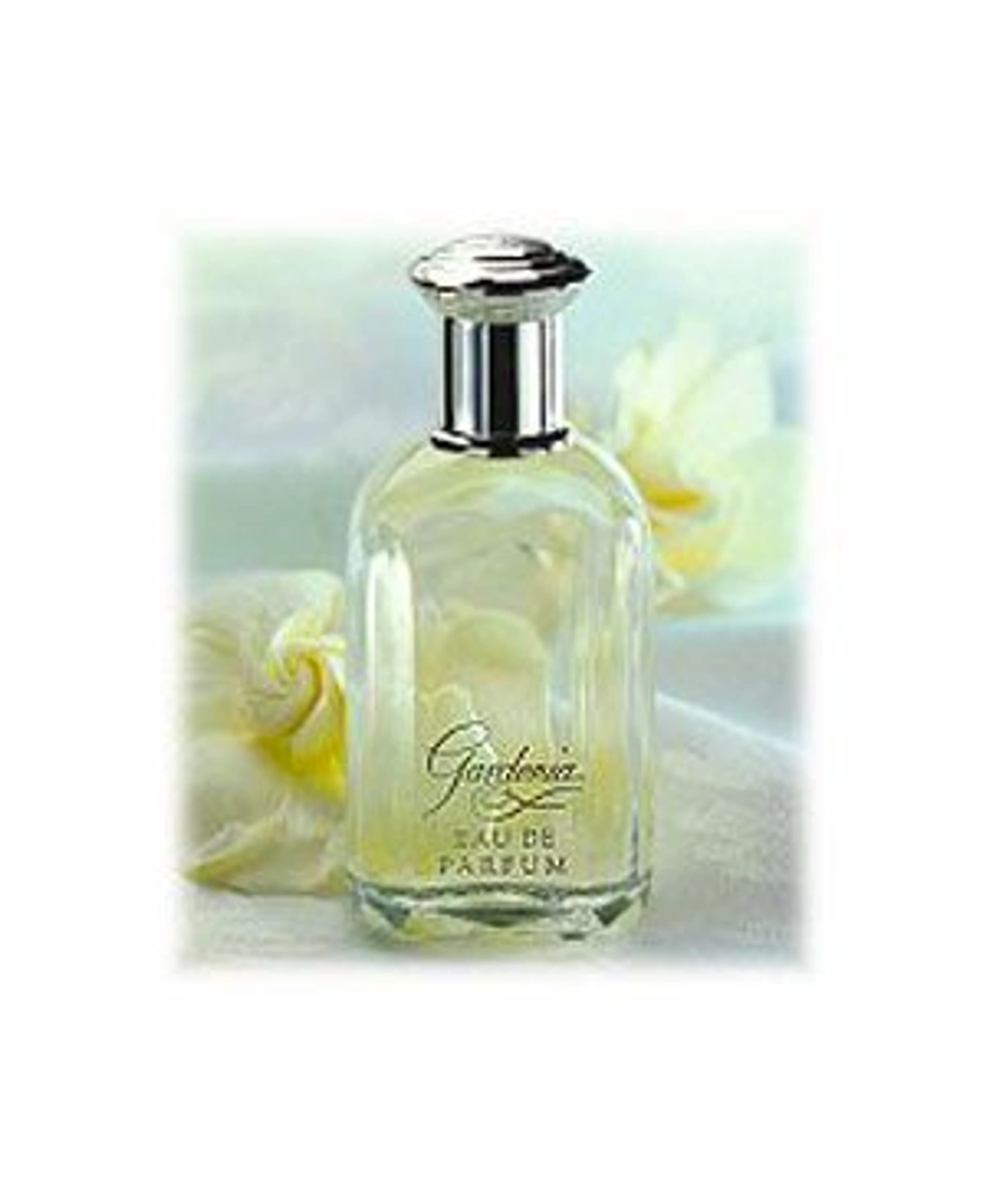 Gardenia