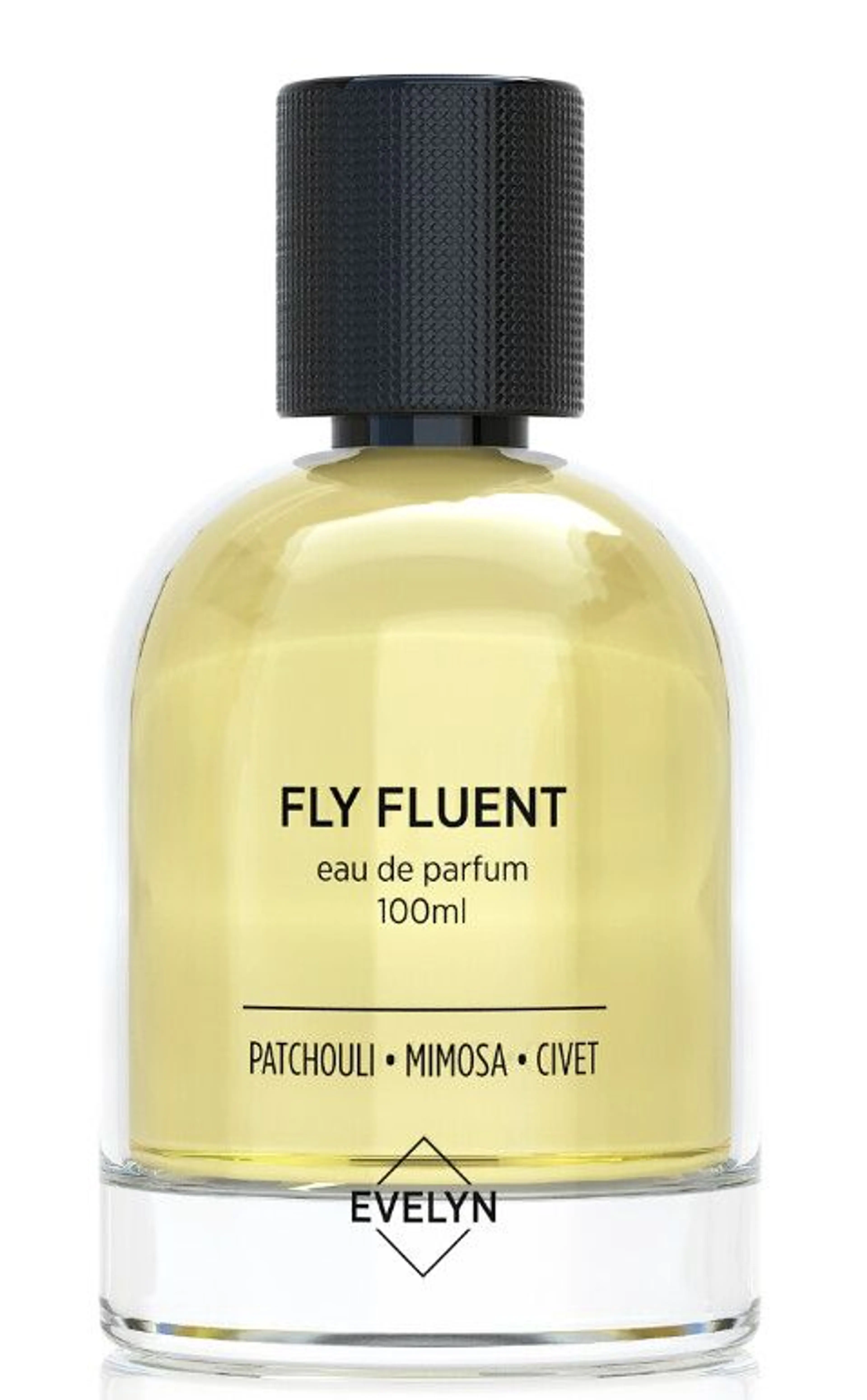 Fly Fluent