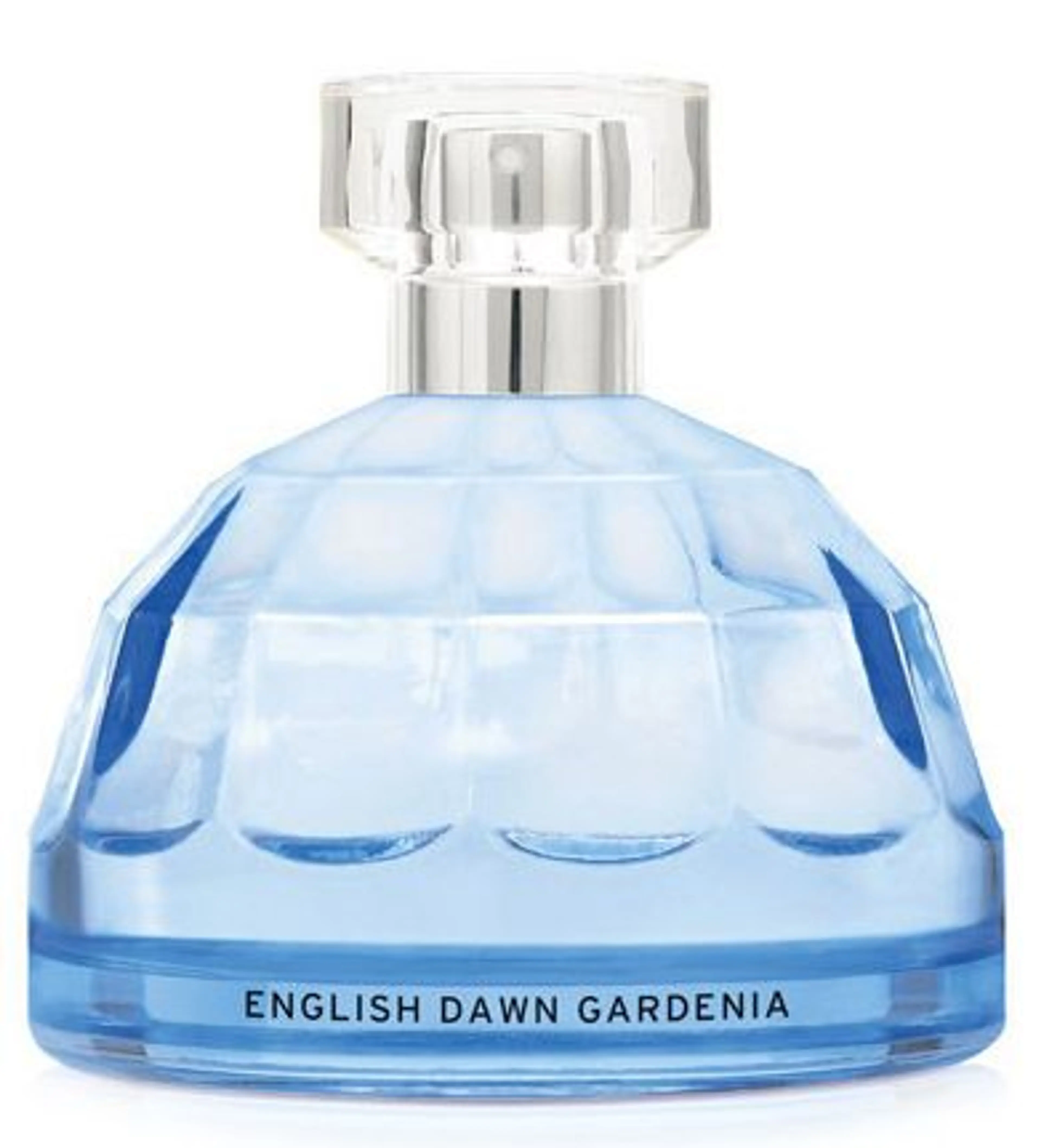 English Dawn White Gardenia