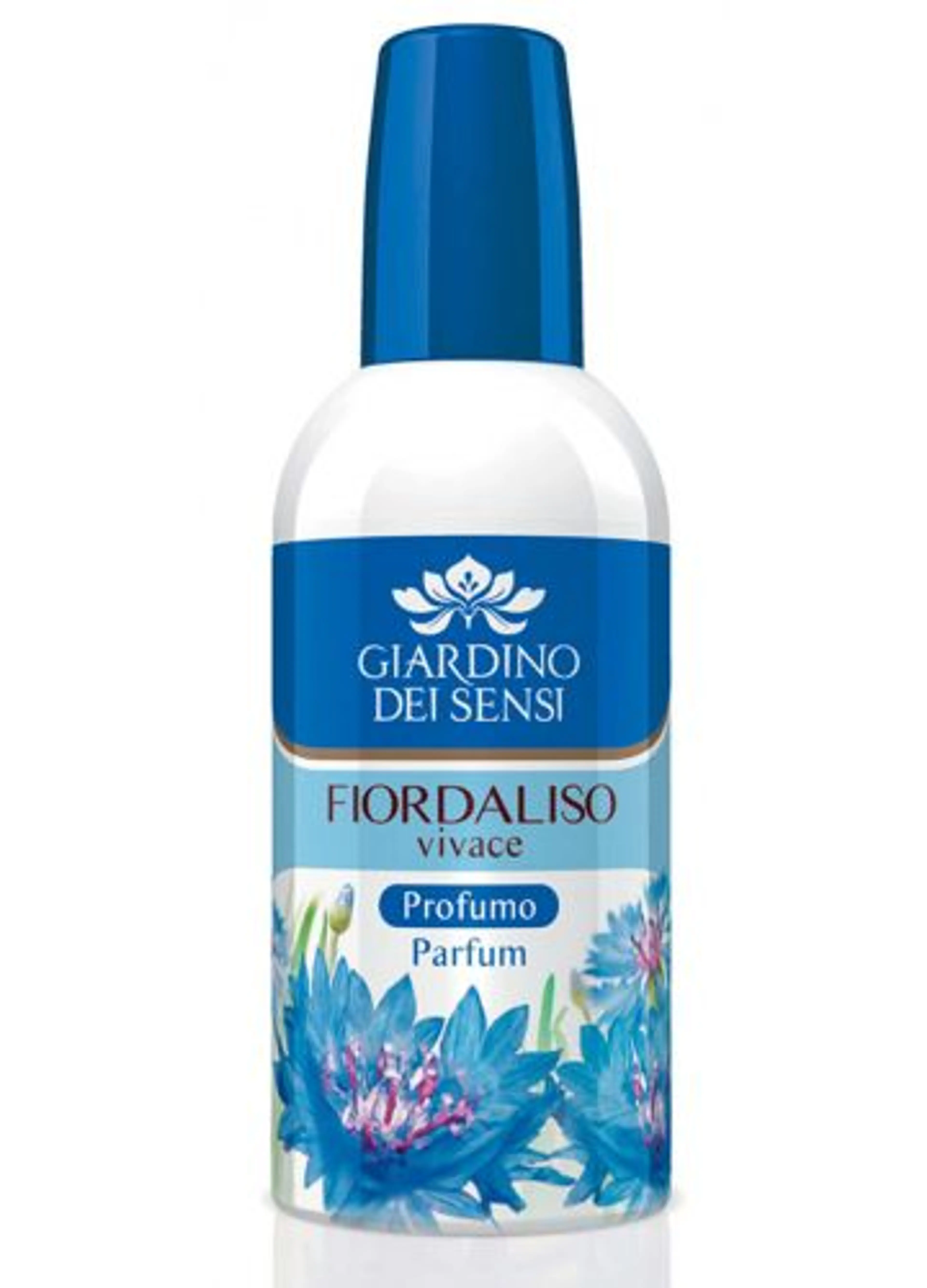 Fiordaliso Vivace