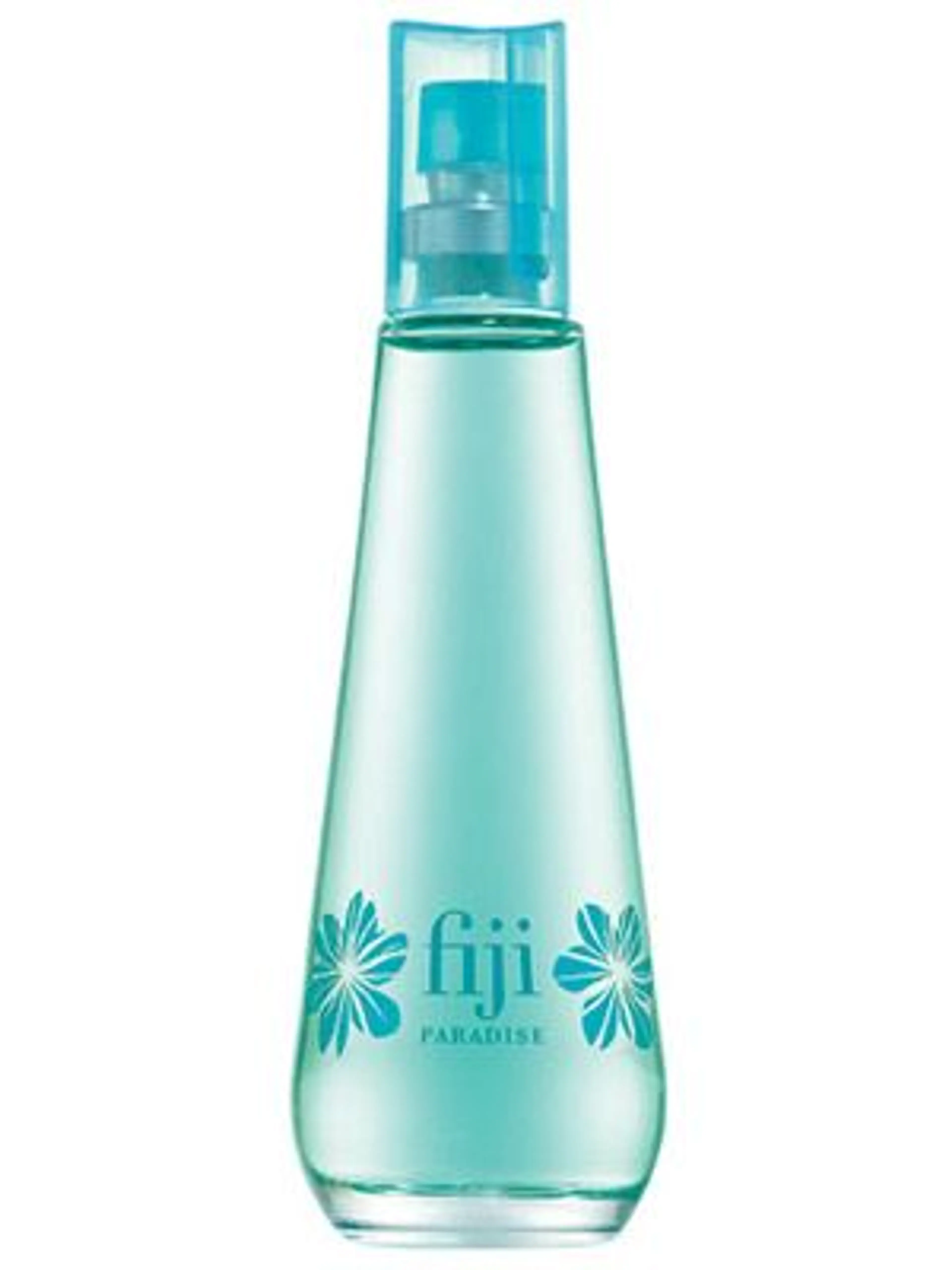 Fiji Paradise