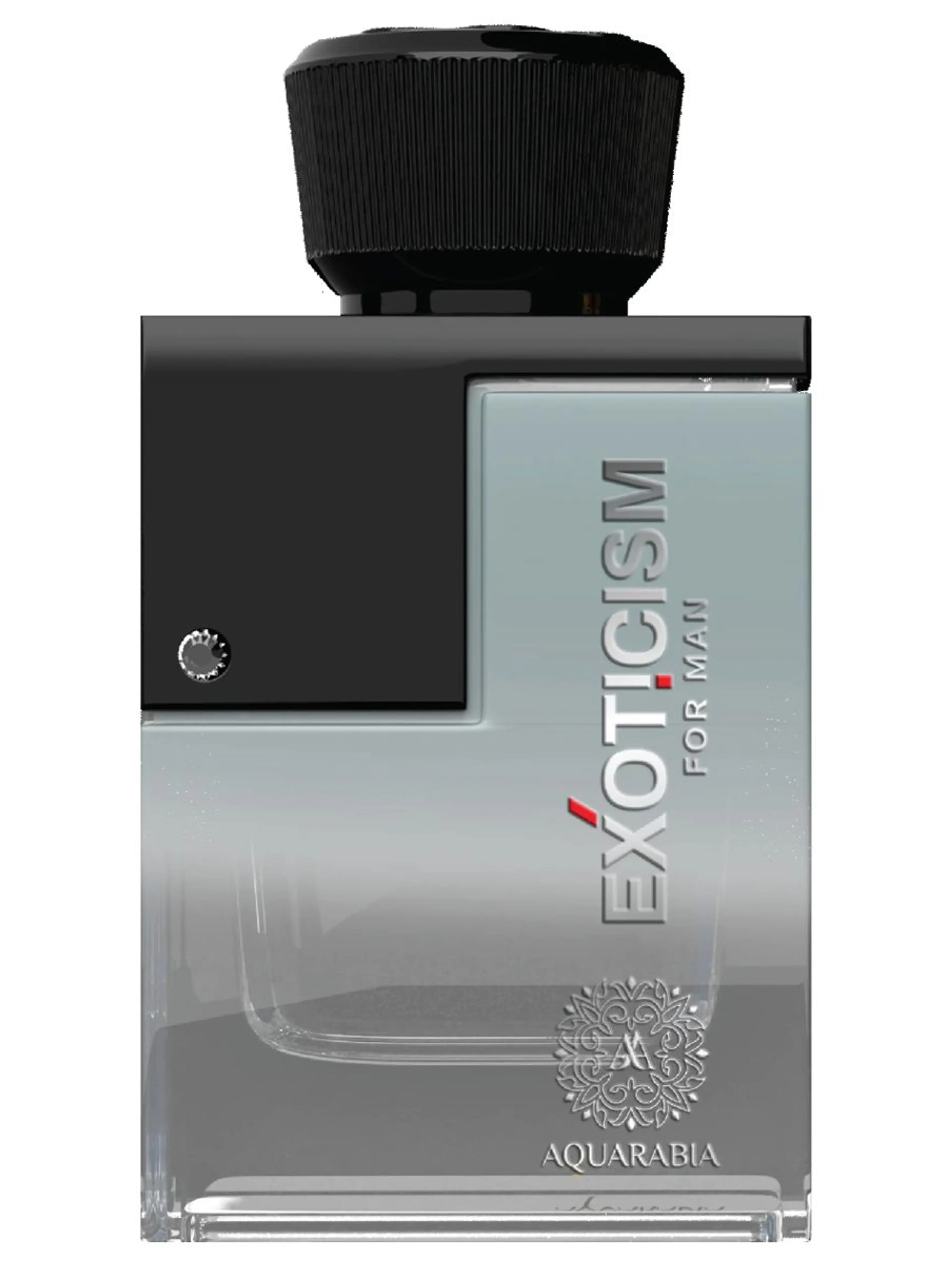 Exoticism Grey for Men