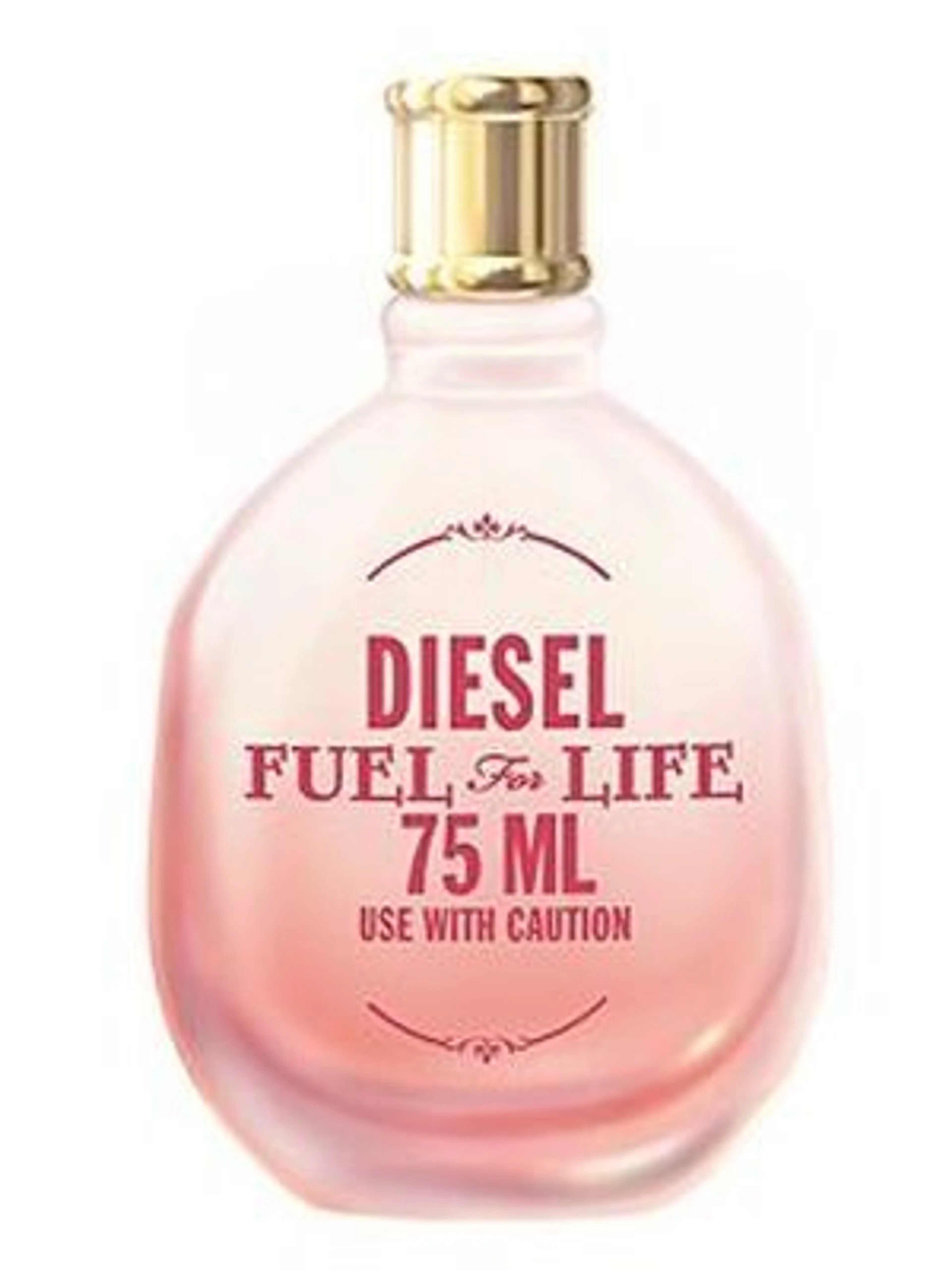 Fuel For Life She Summer