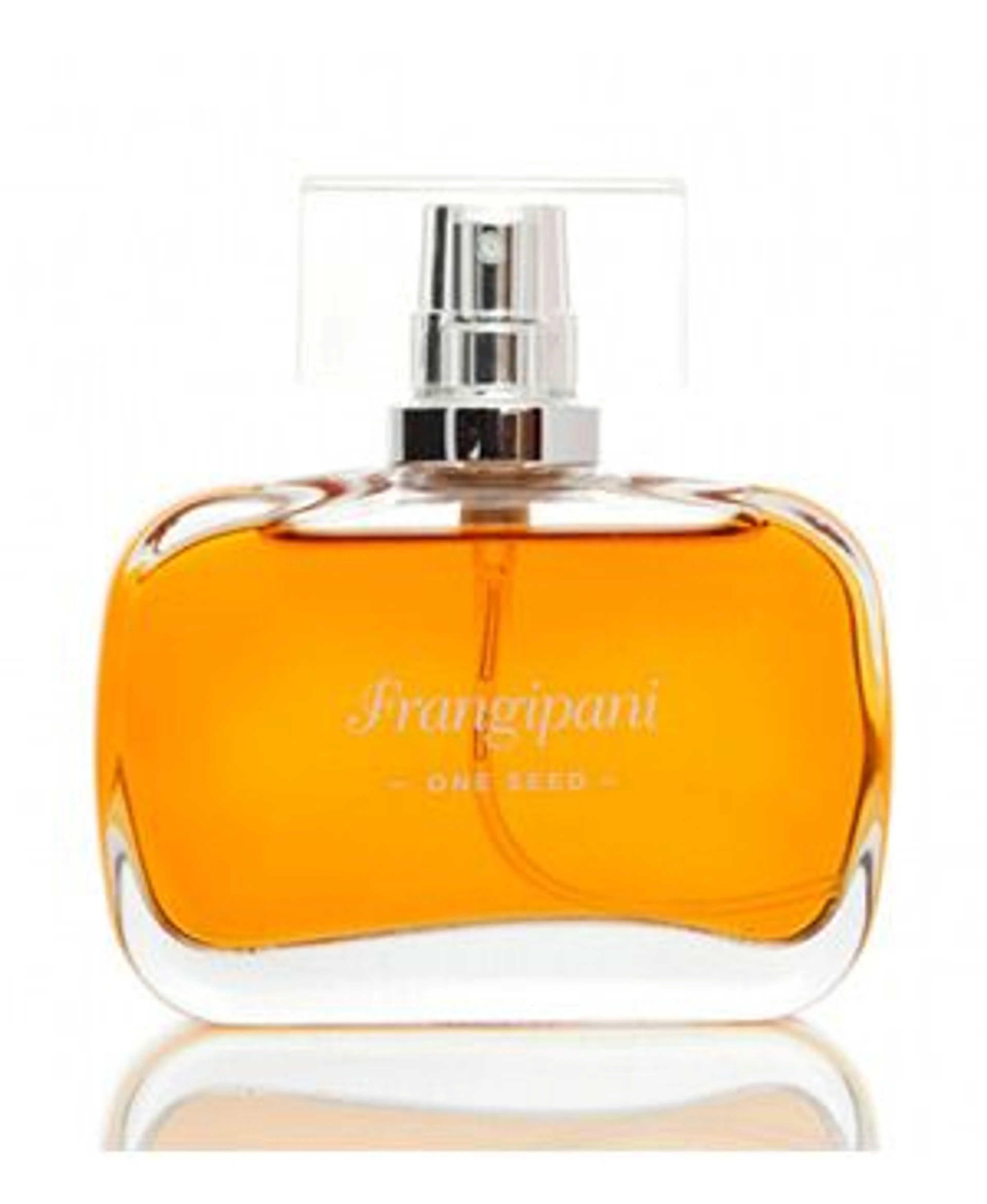 Frangipani