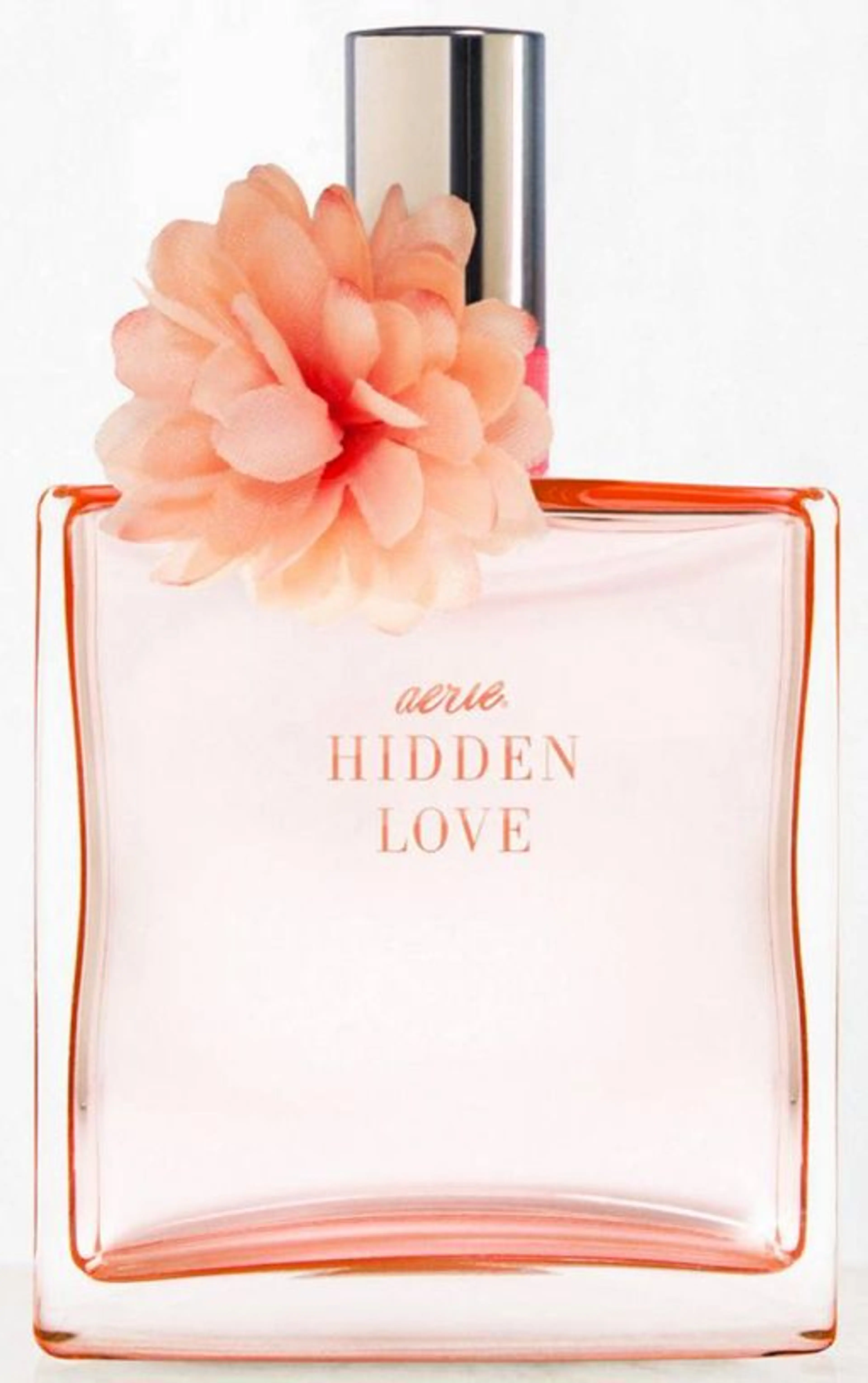 Hidden Love