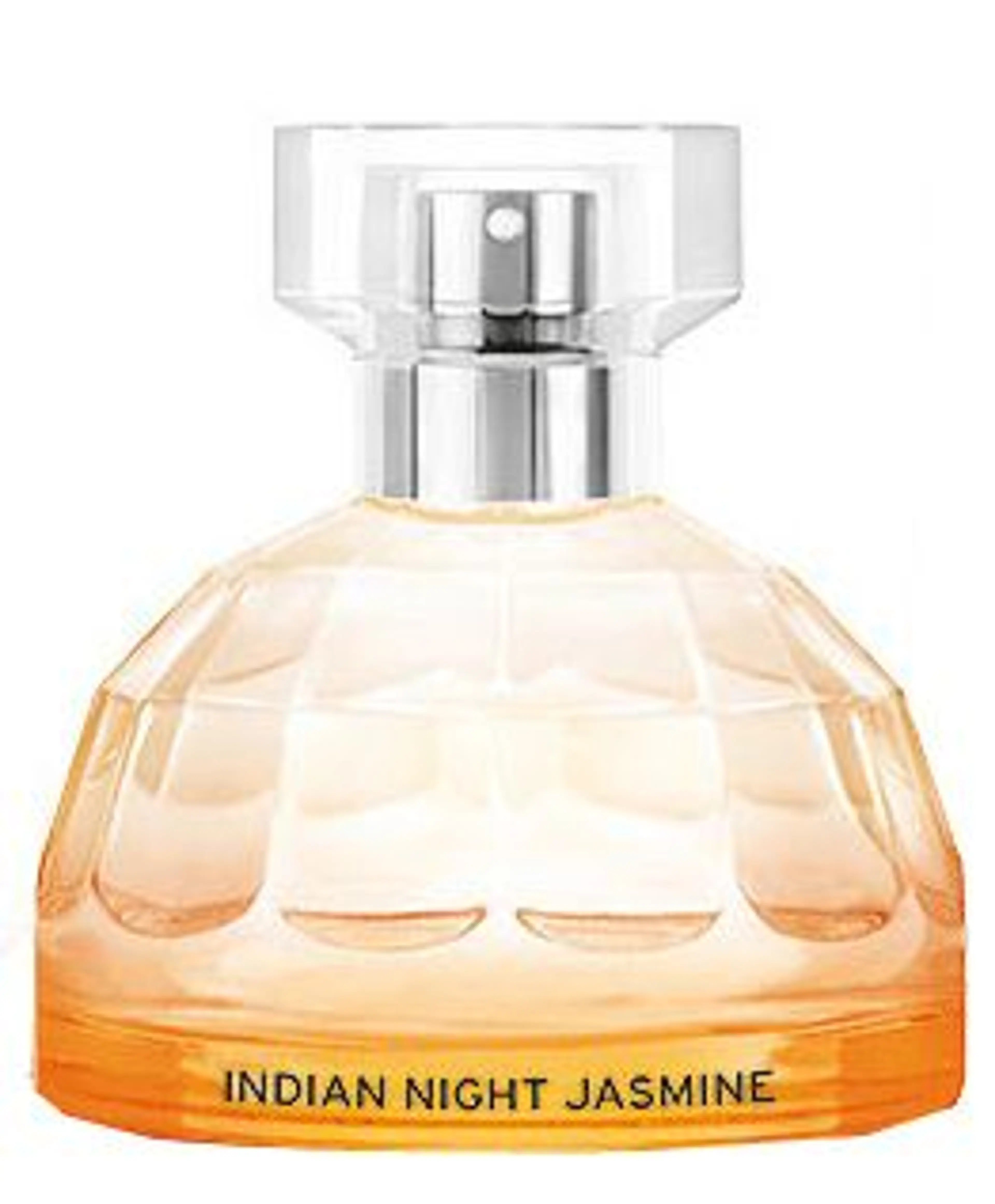Indian Night Jasmine