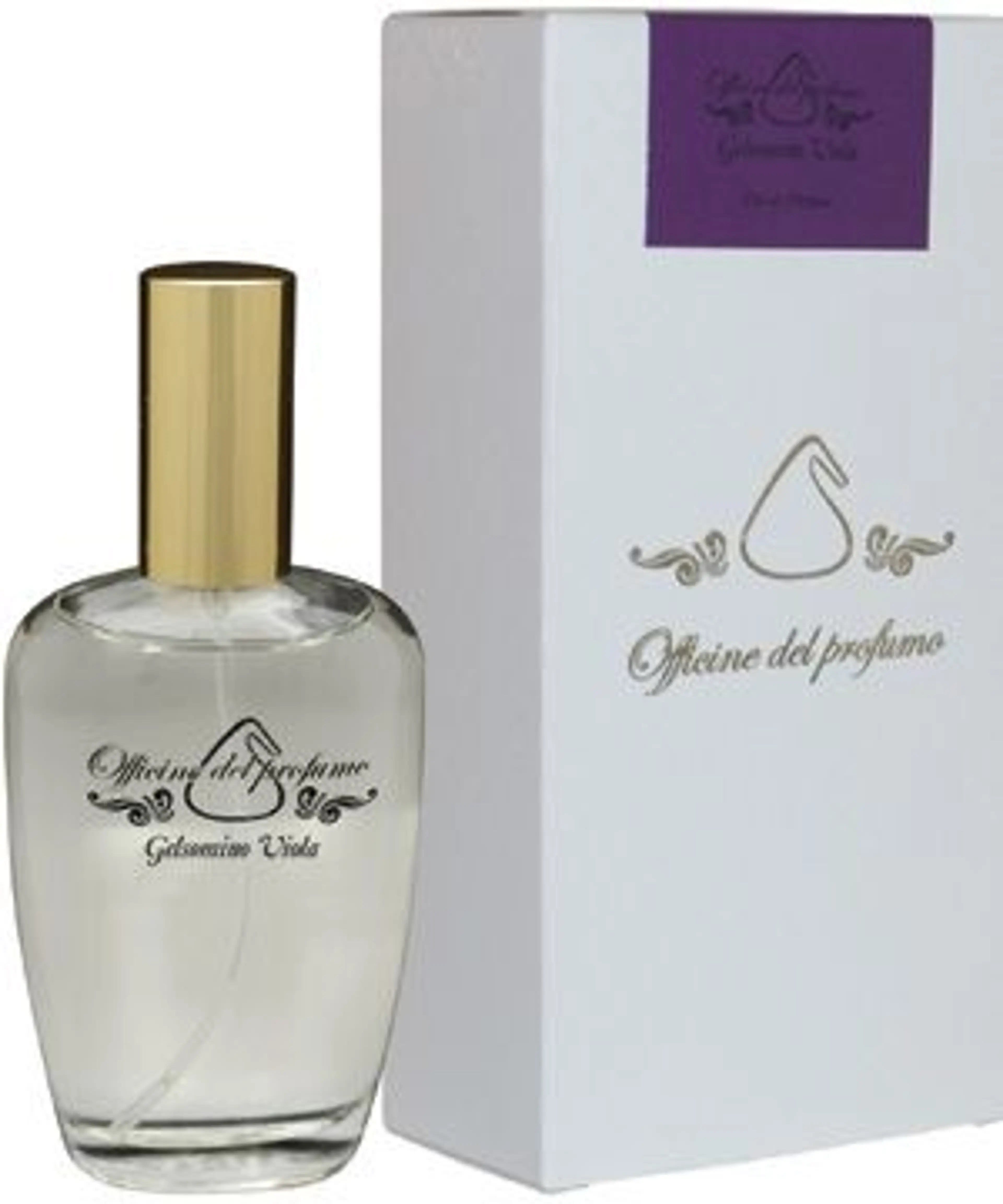 Gelsomino Viola