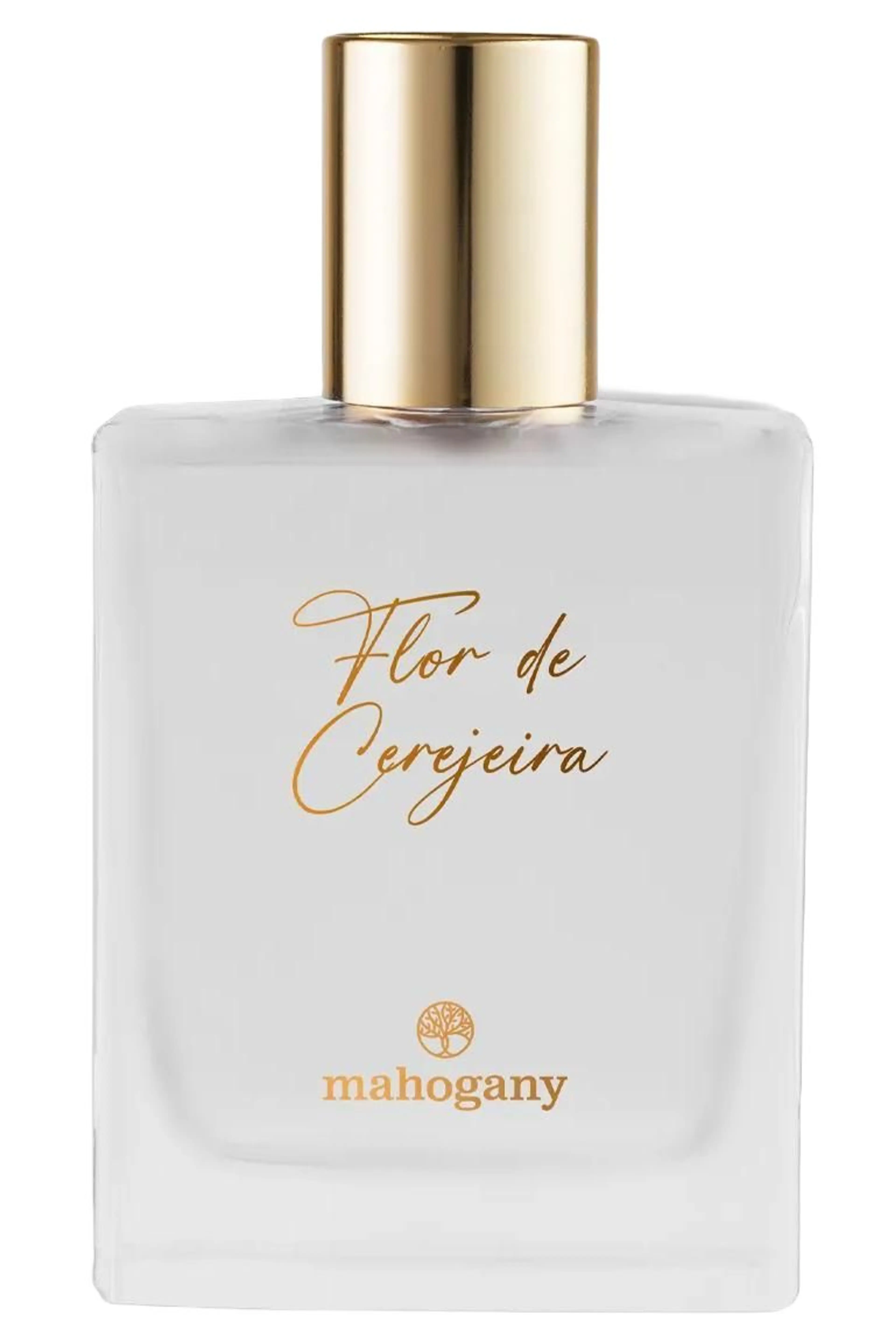 Flor de Cerejeira