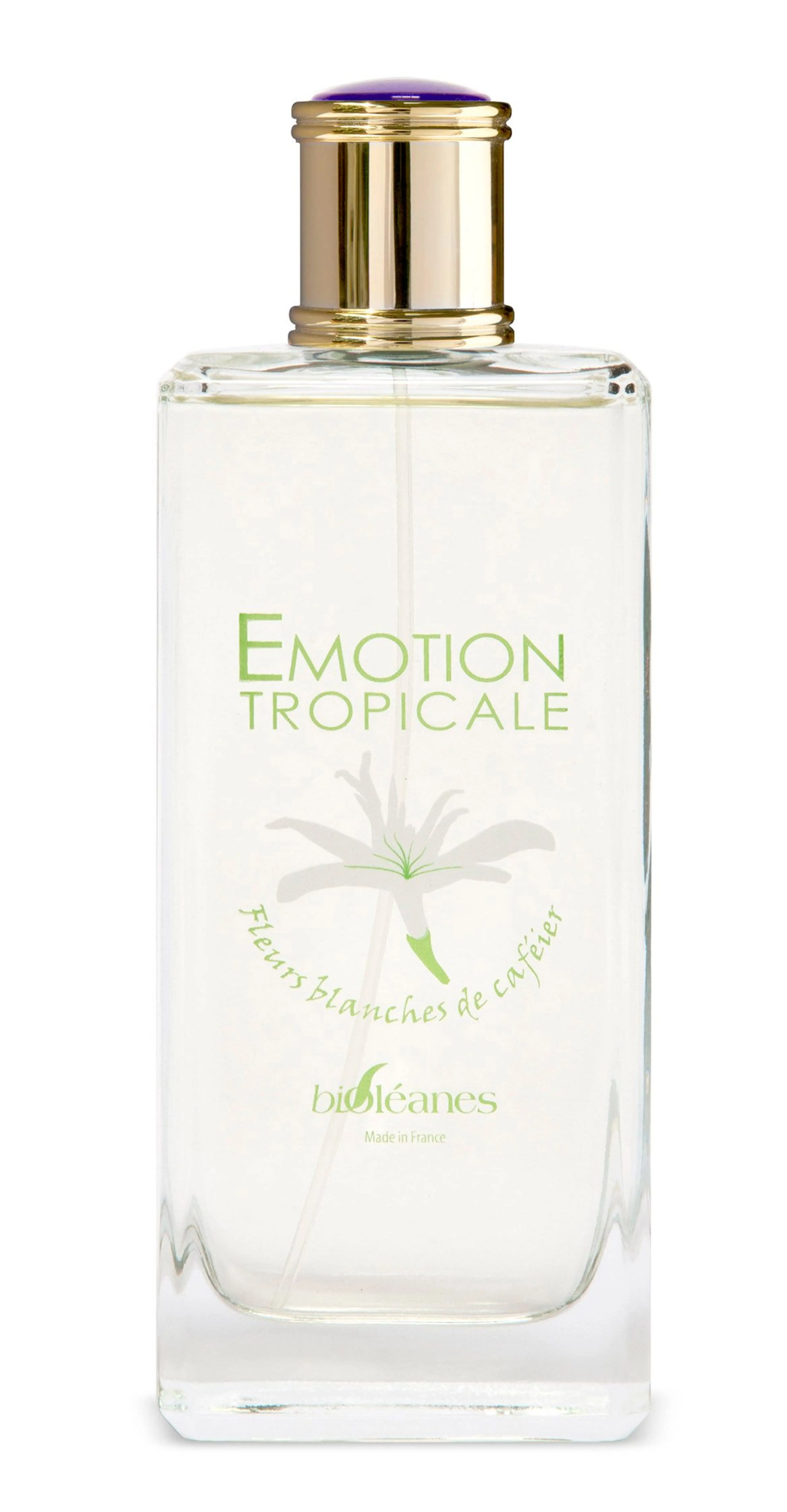 Emotion Tropicale