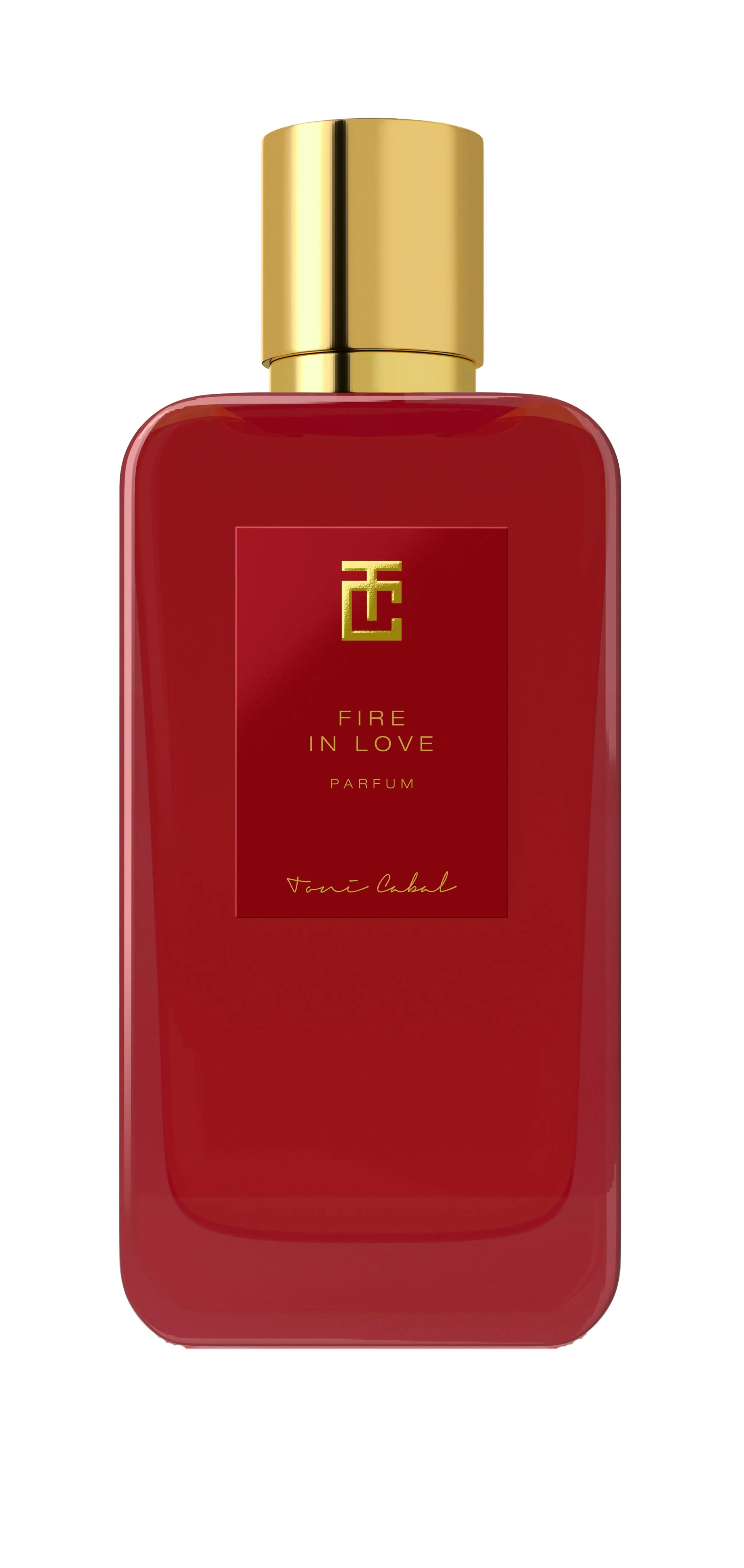 Fire In Love