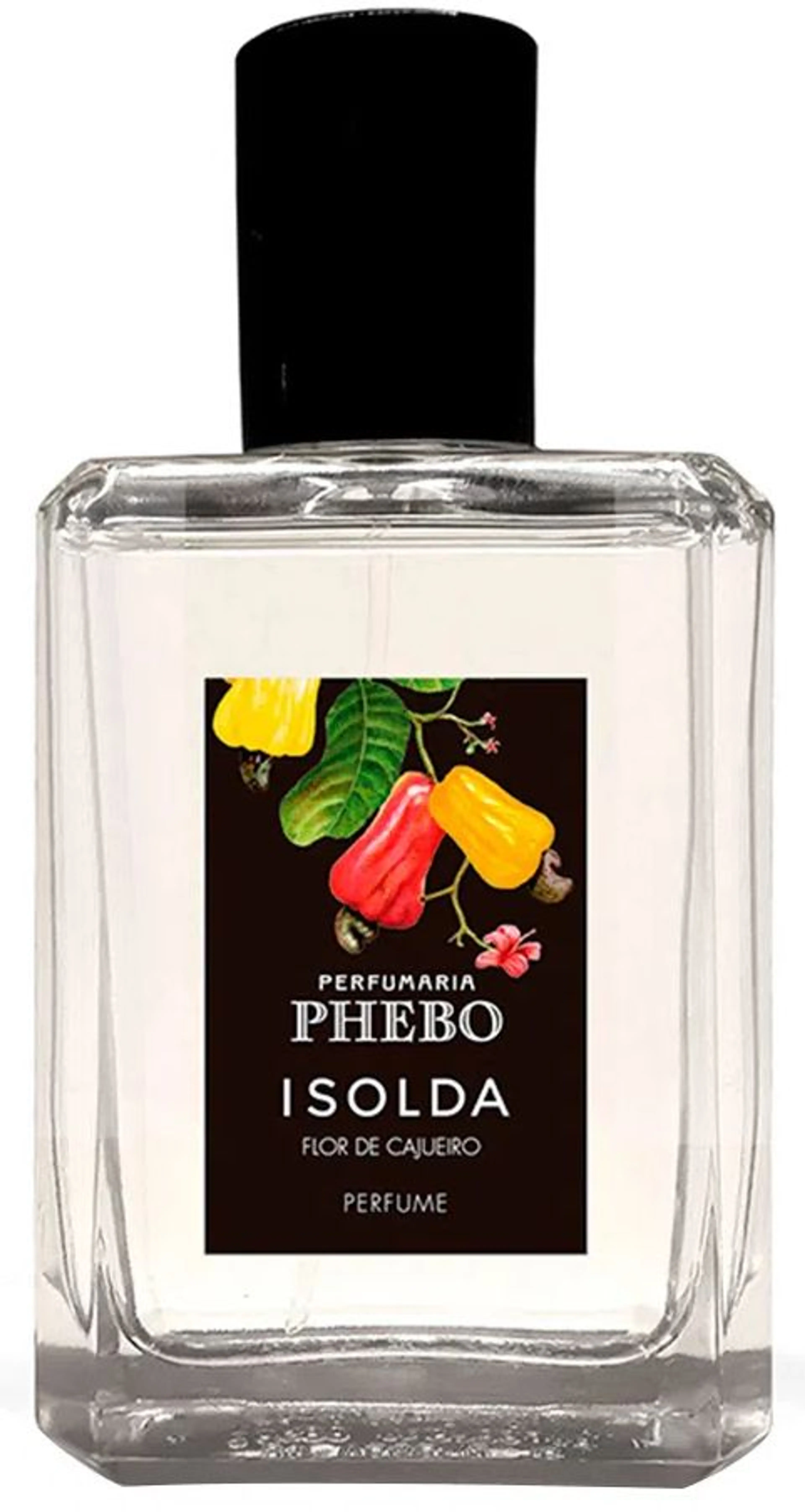 Isolda Flor de Cajueiro