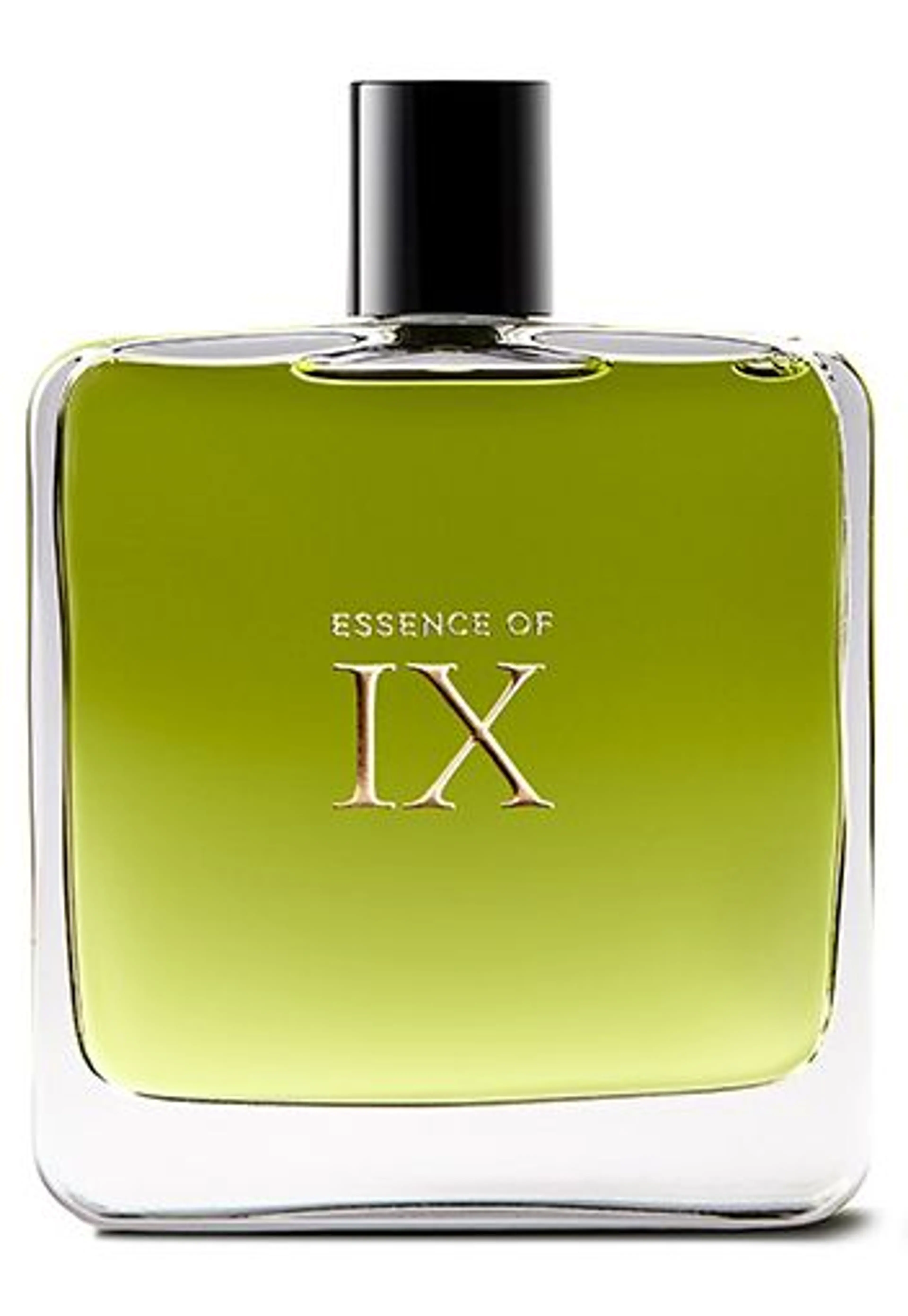 Essence of IX
