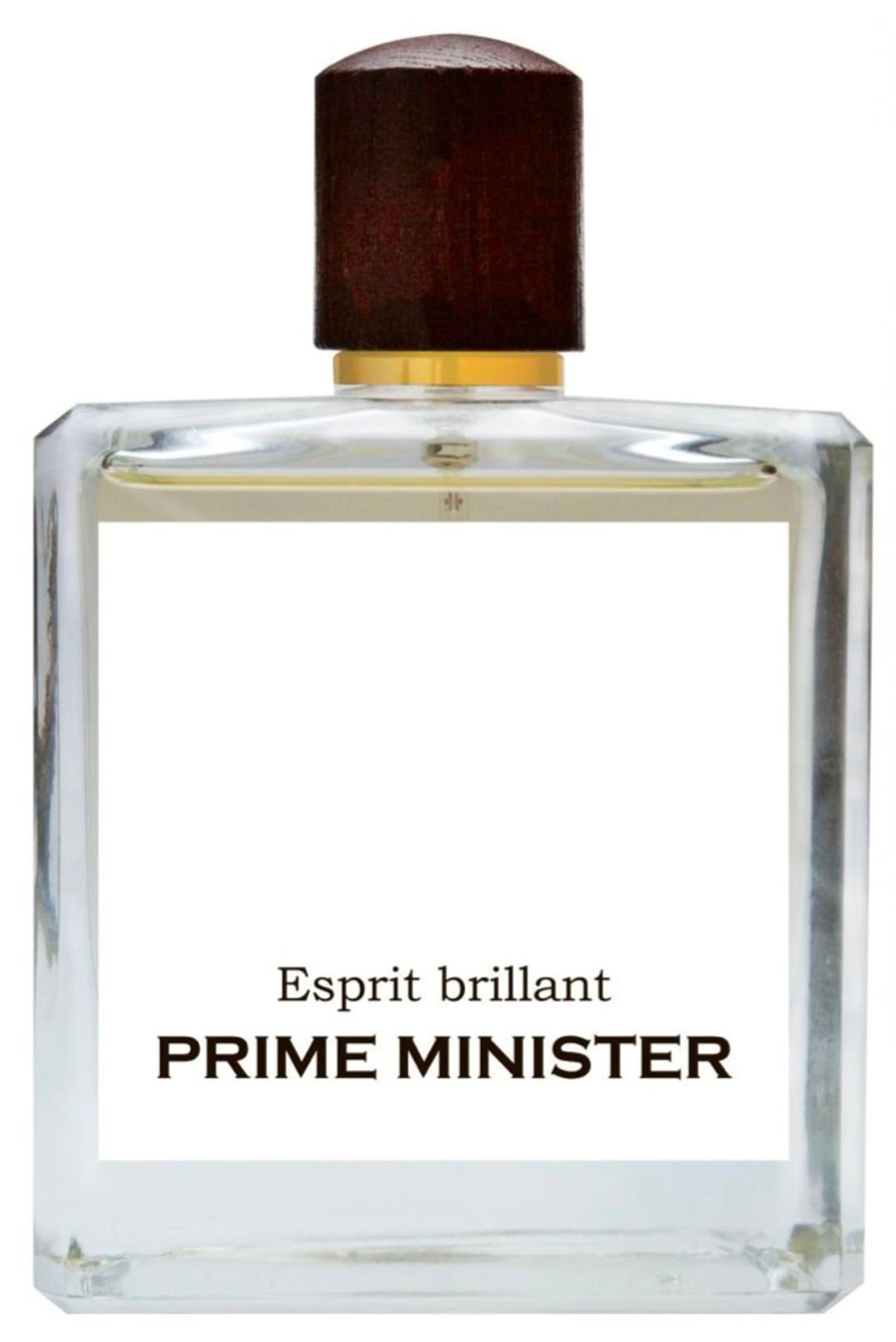 Esprit brillant