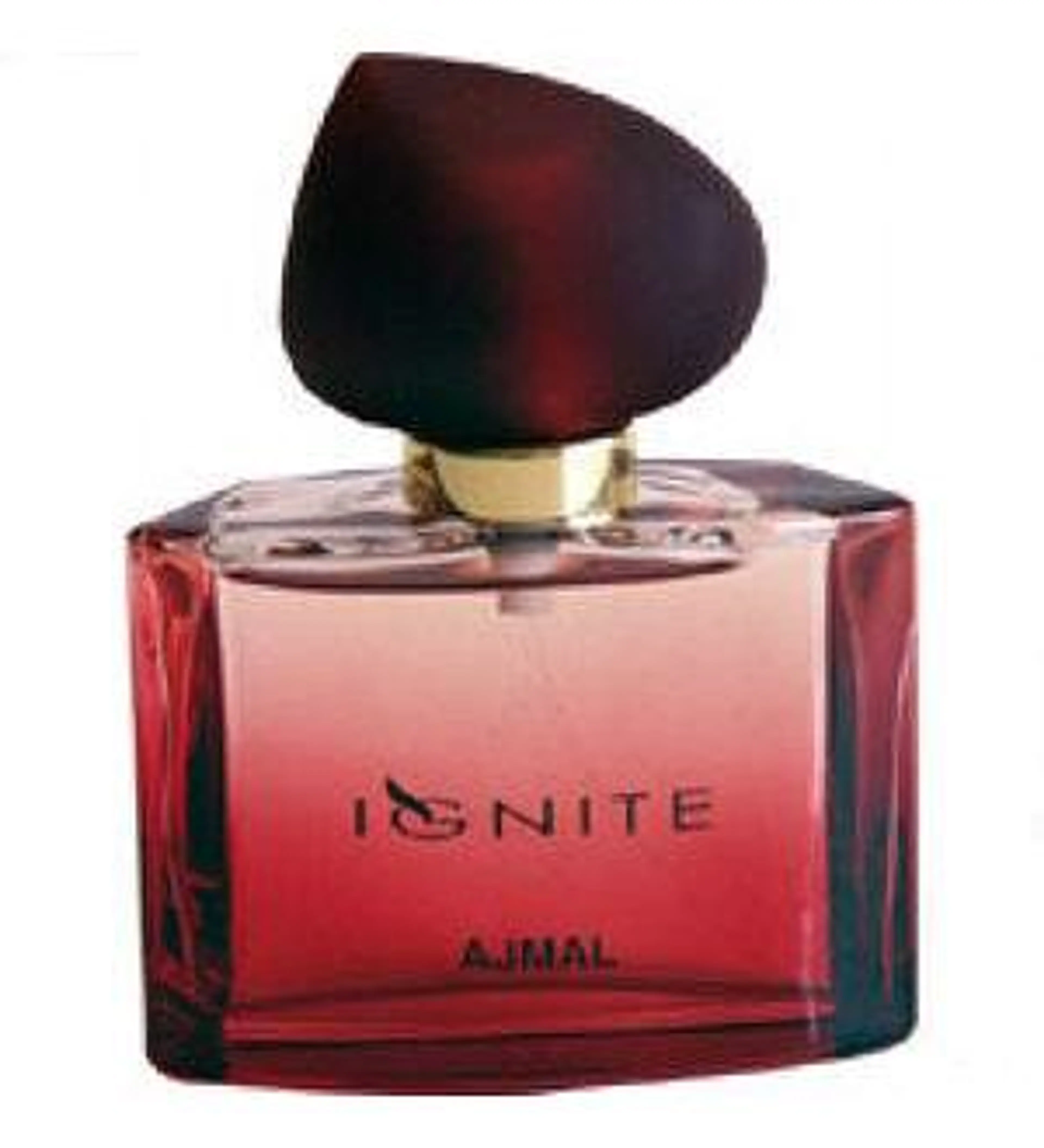 Ignite