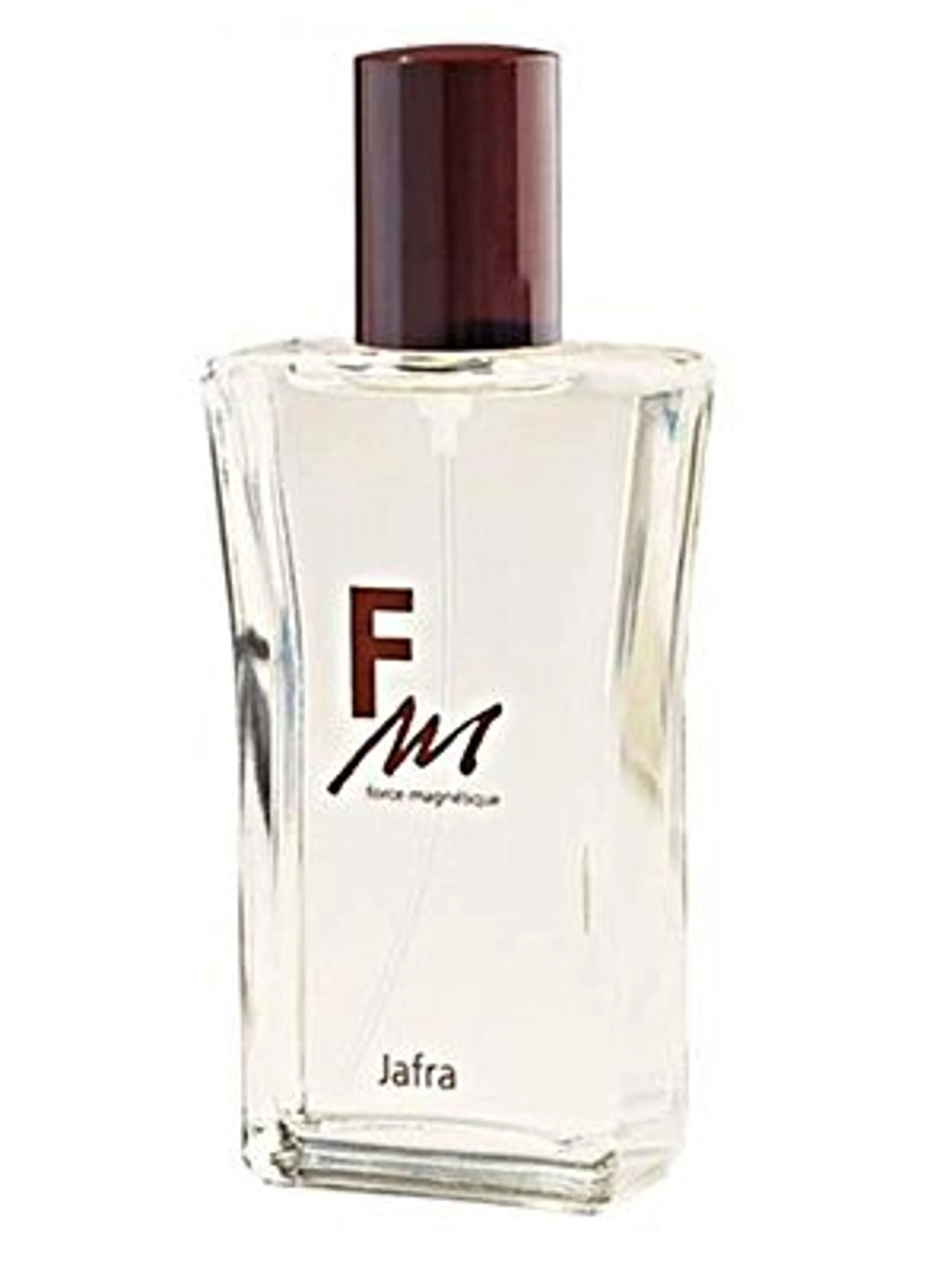 FM Force Magnétique