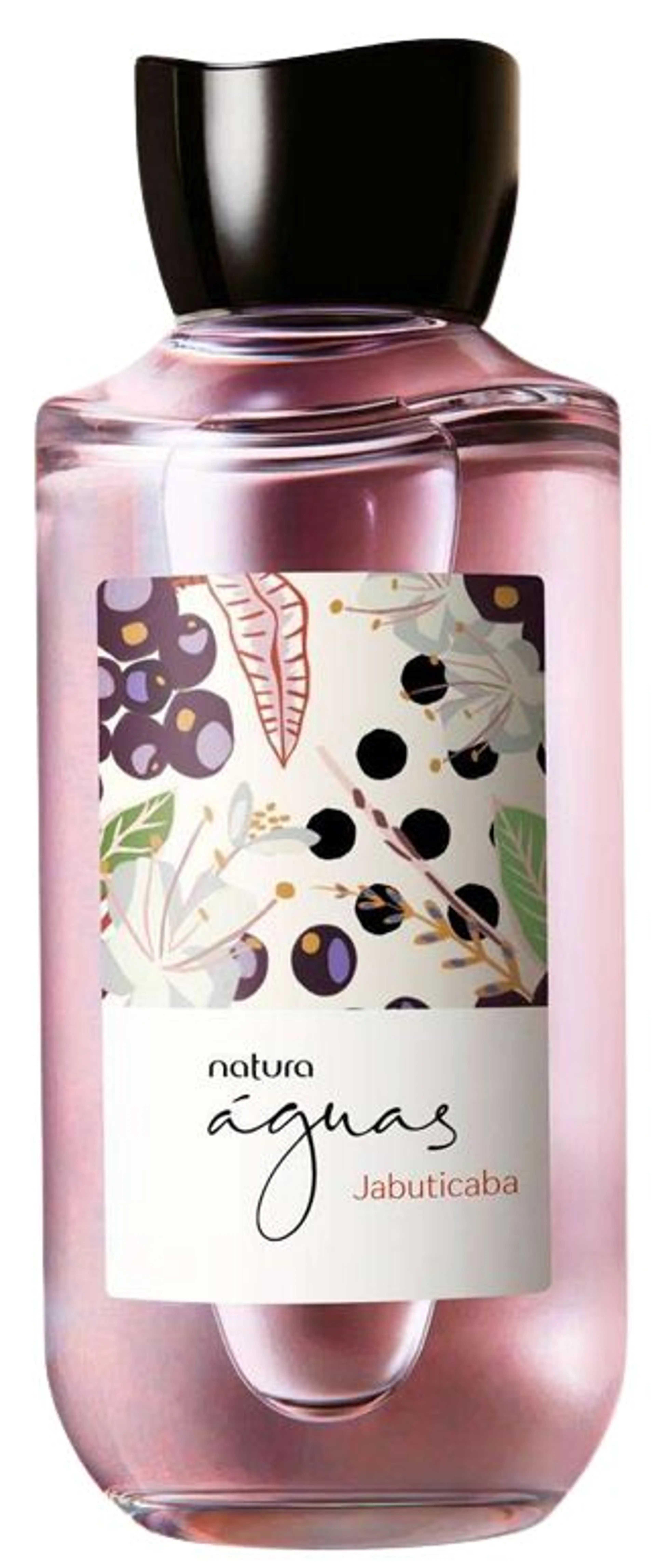 Jabuticaba