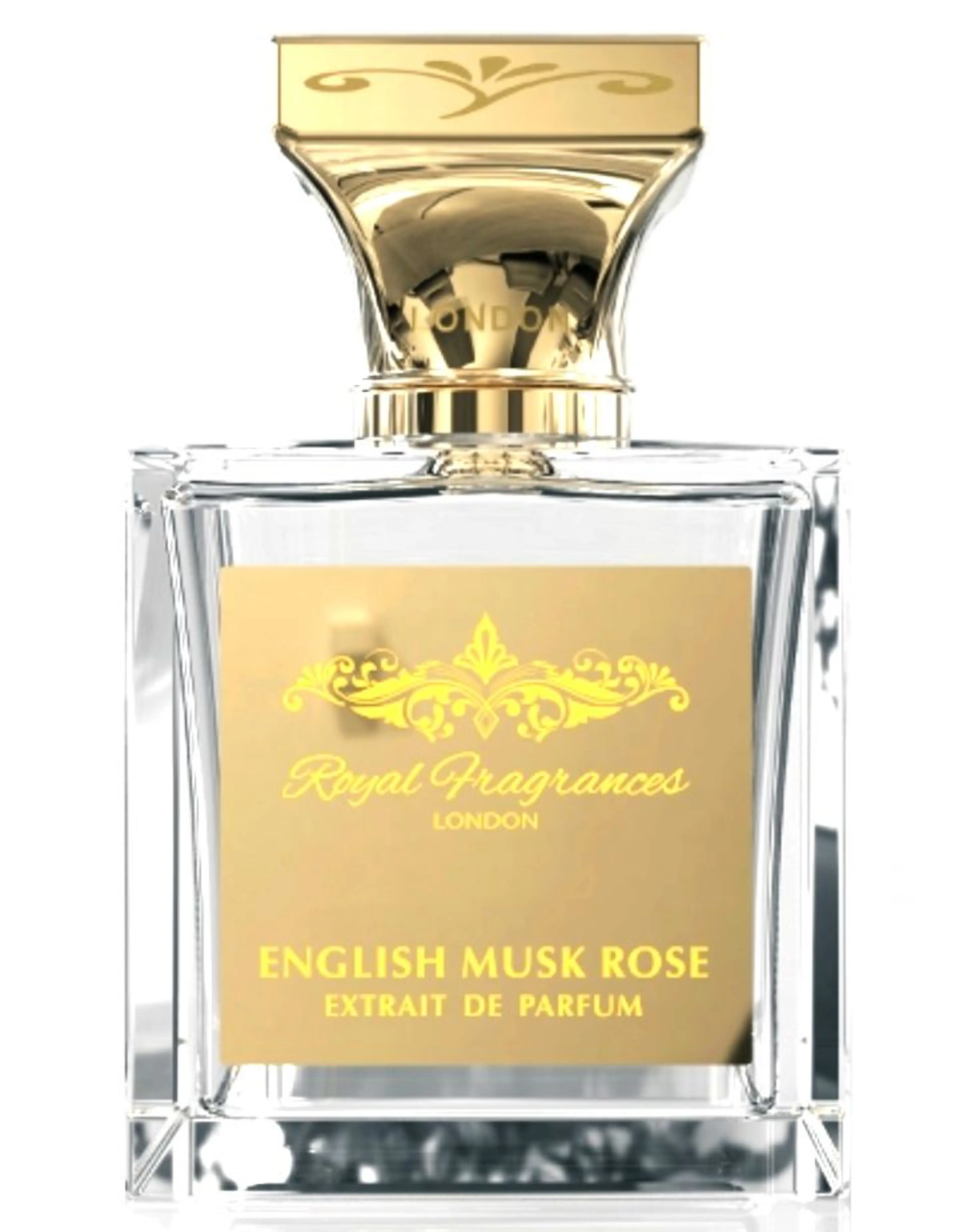 English Musk Rose