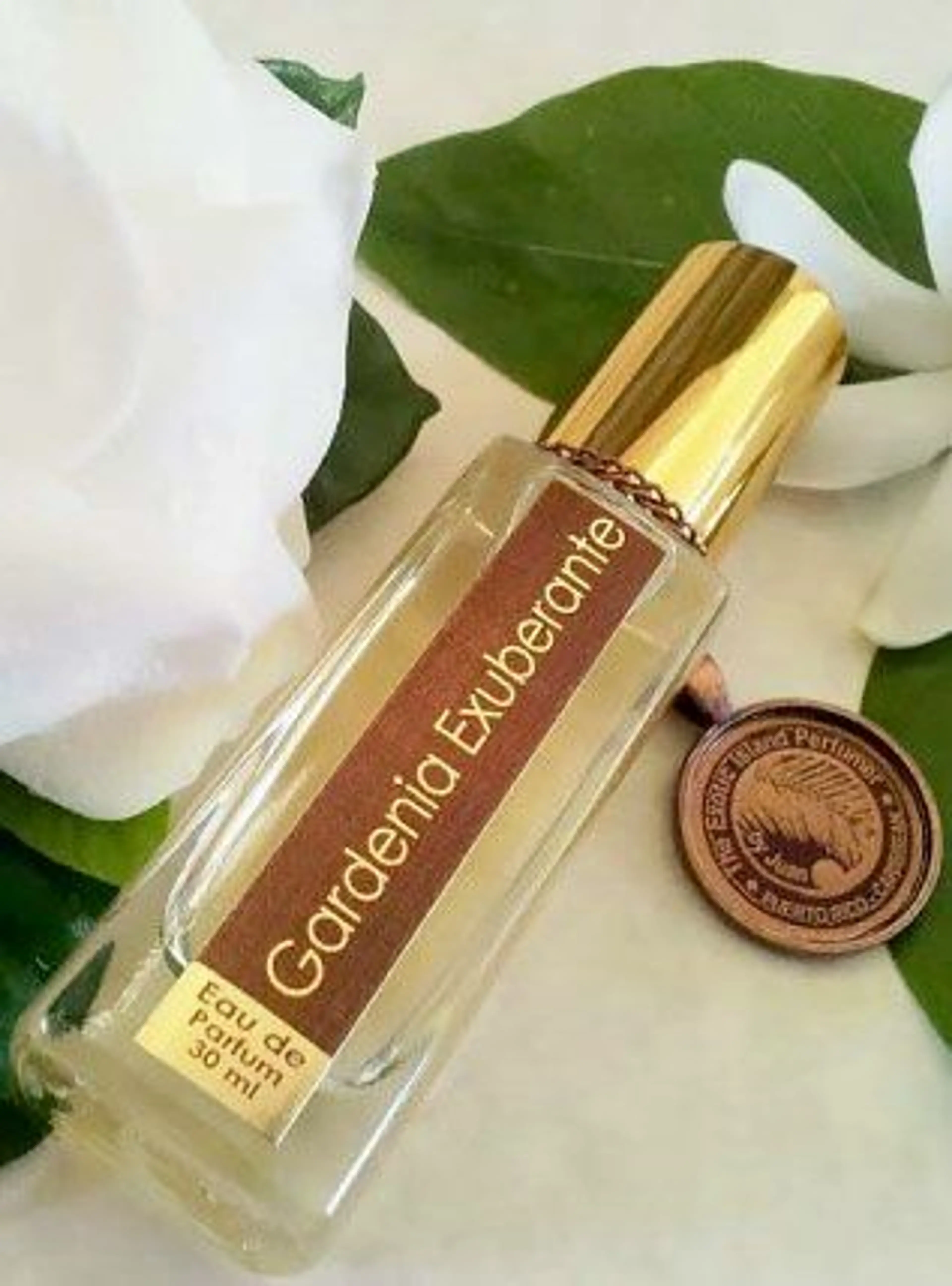 Gardenia Exuberante