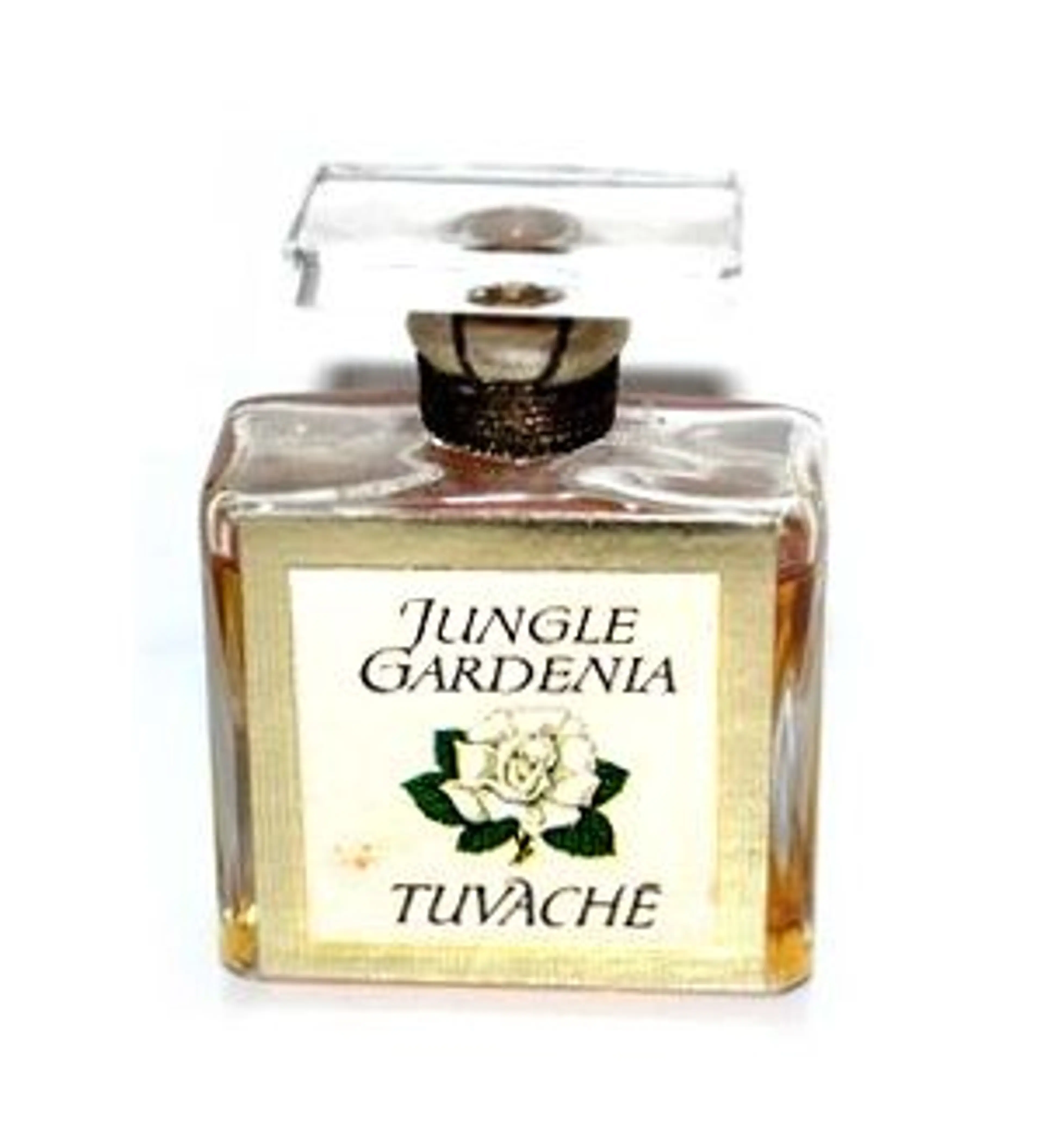 Jungle Gardenia