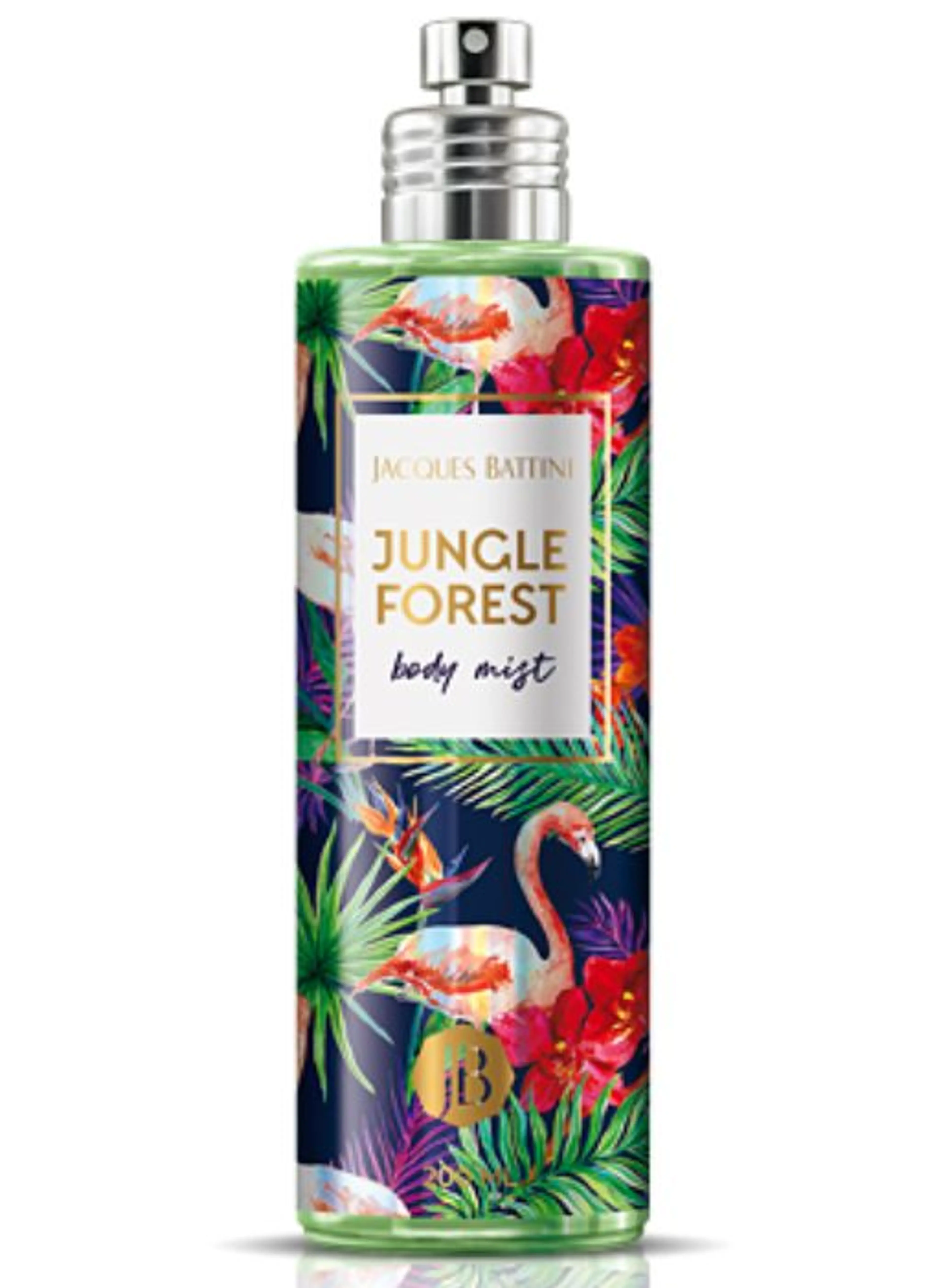 Jungle Forest