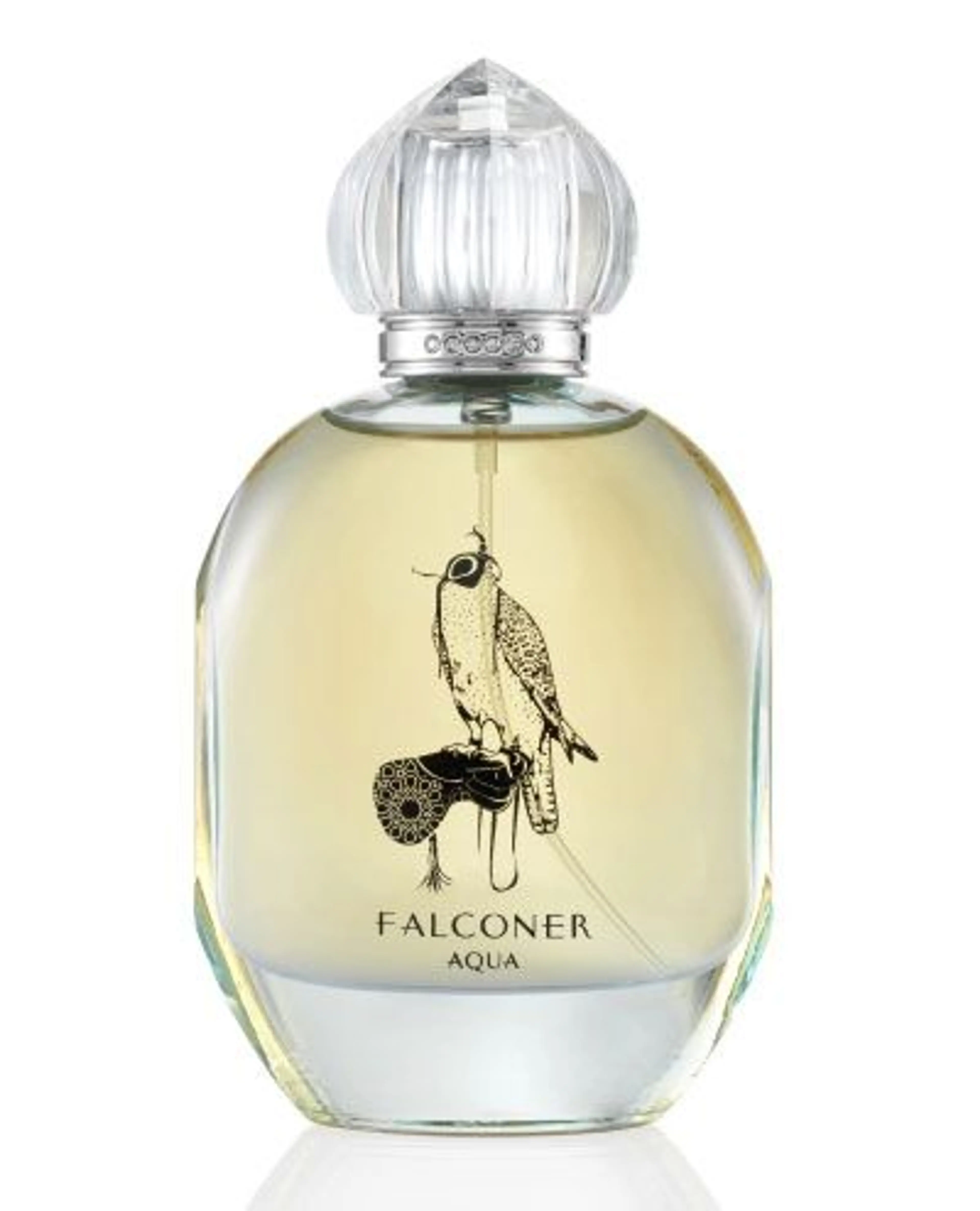 Falconer Aqua