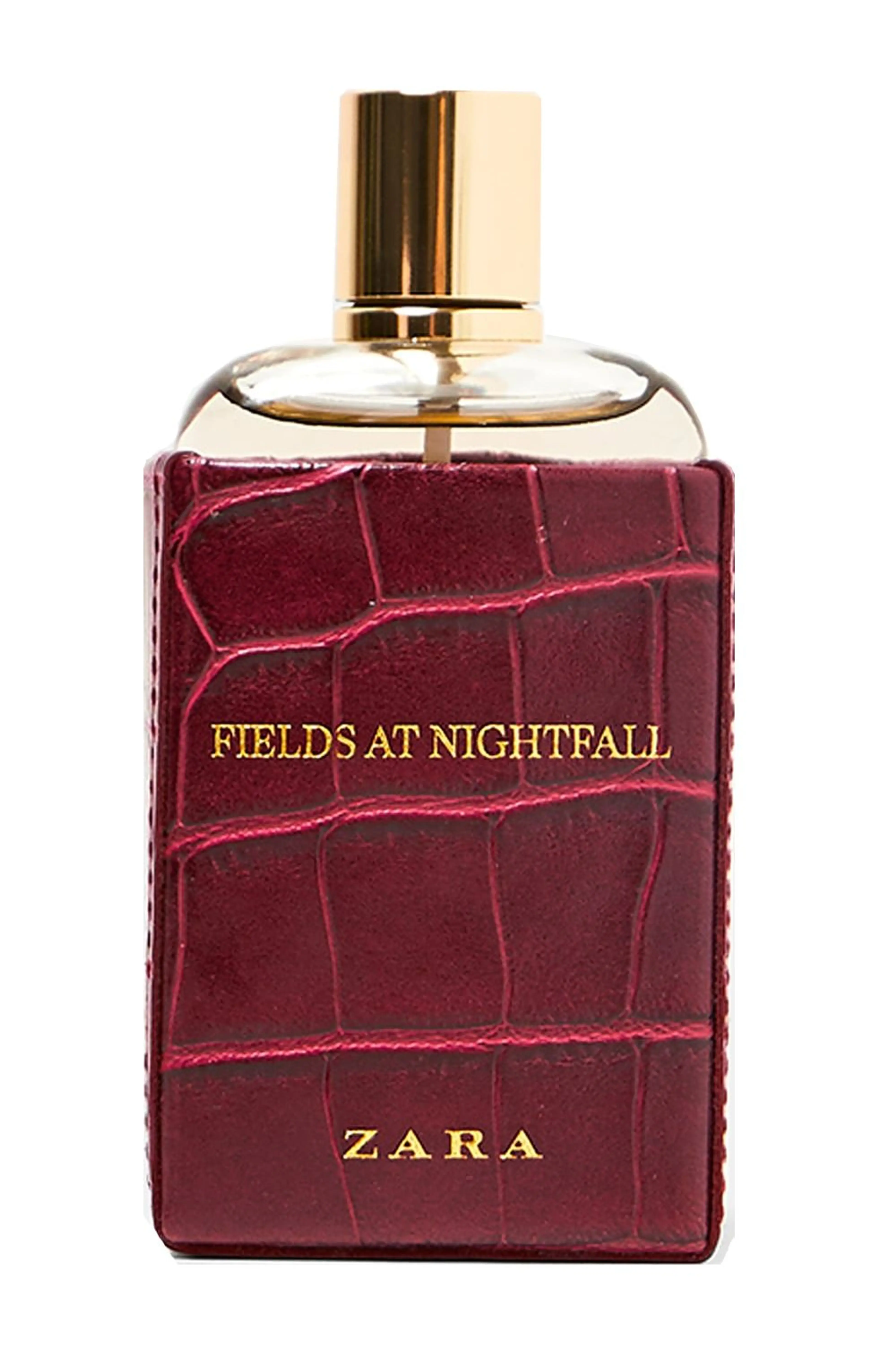 Fields at Nightfall 2018