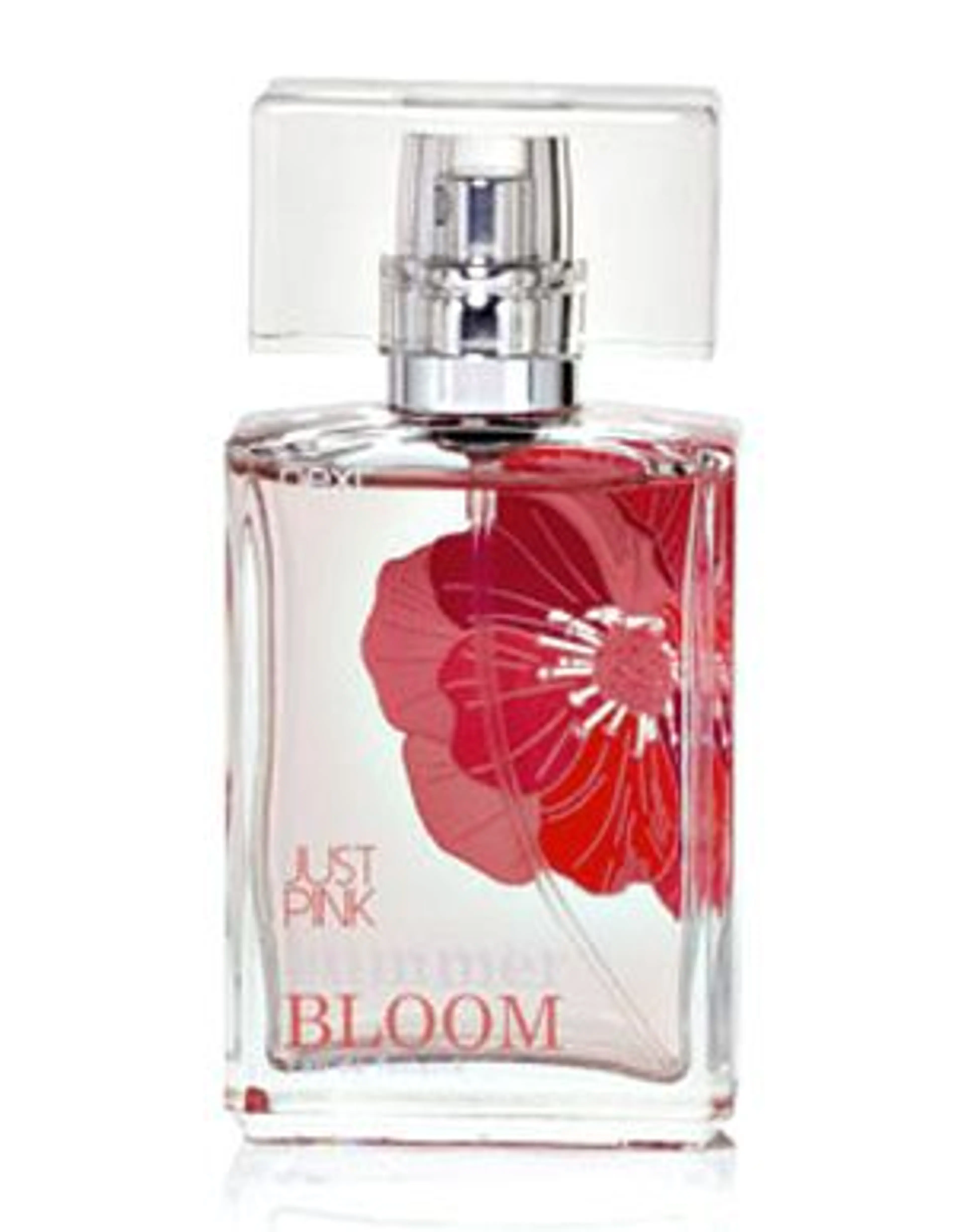 Just Pink Bloom