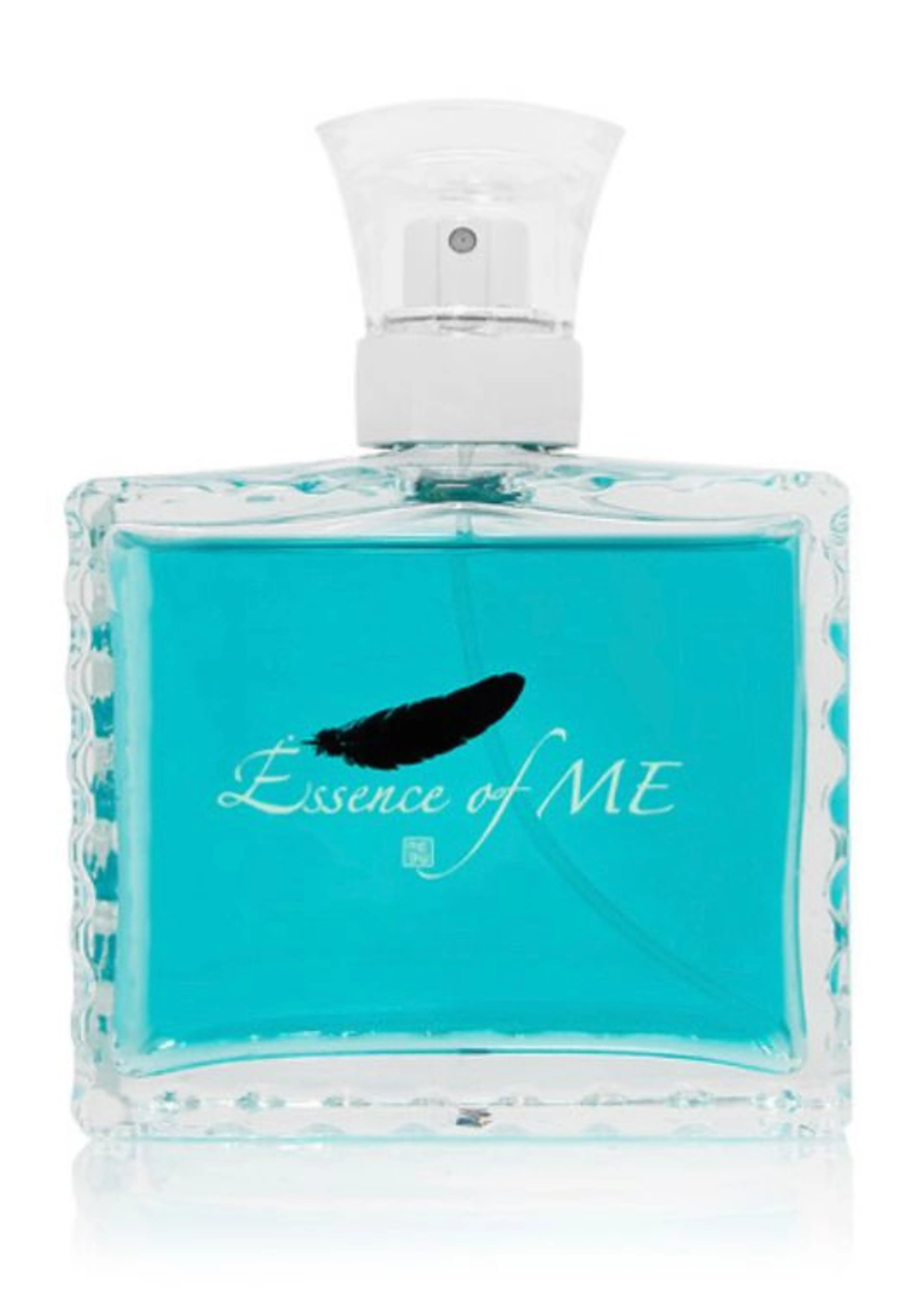 Essence of ME