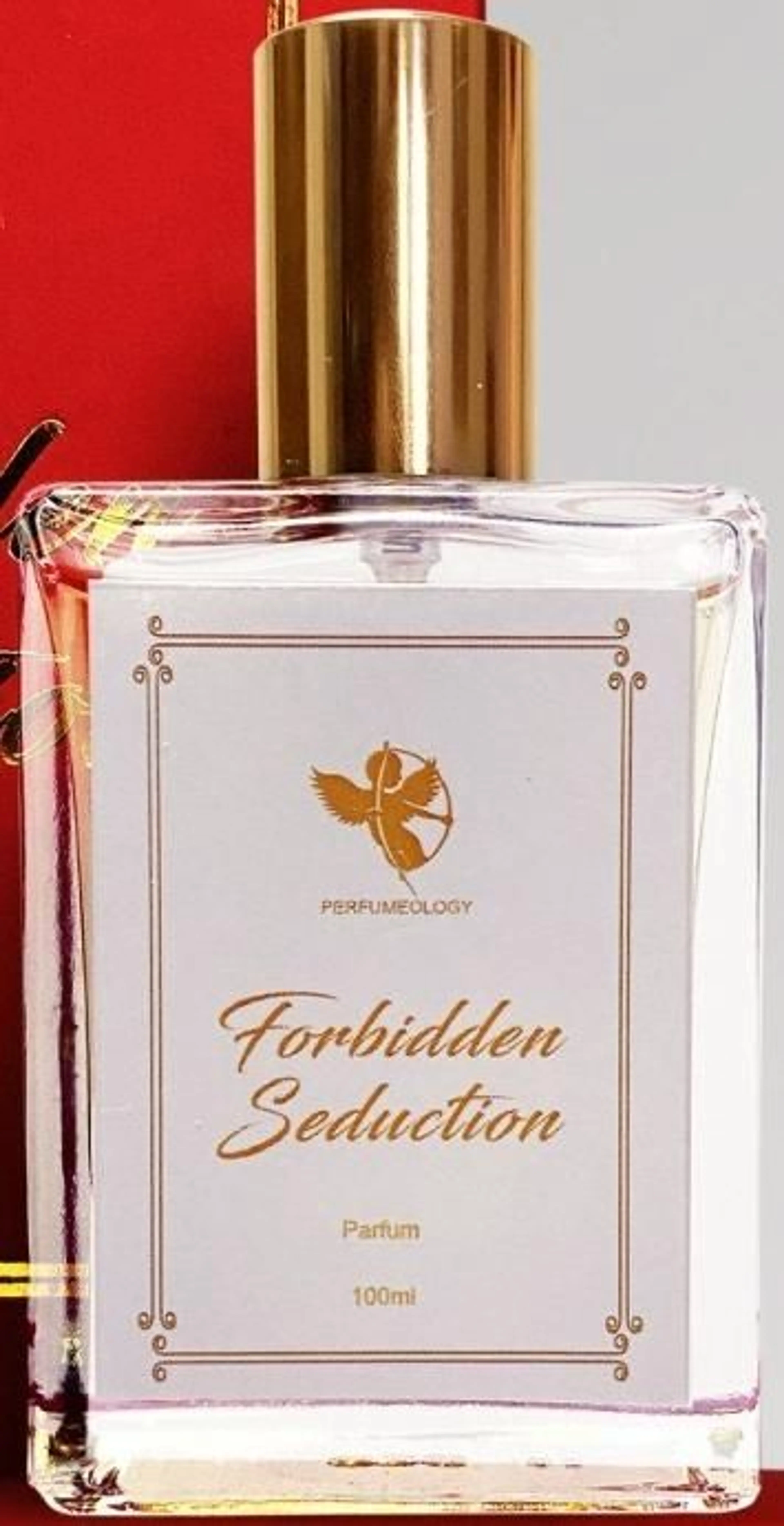 Forbidden Seduction