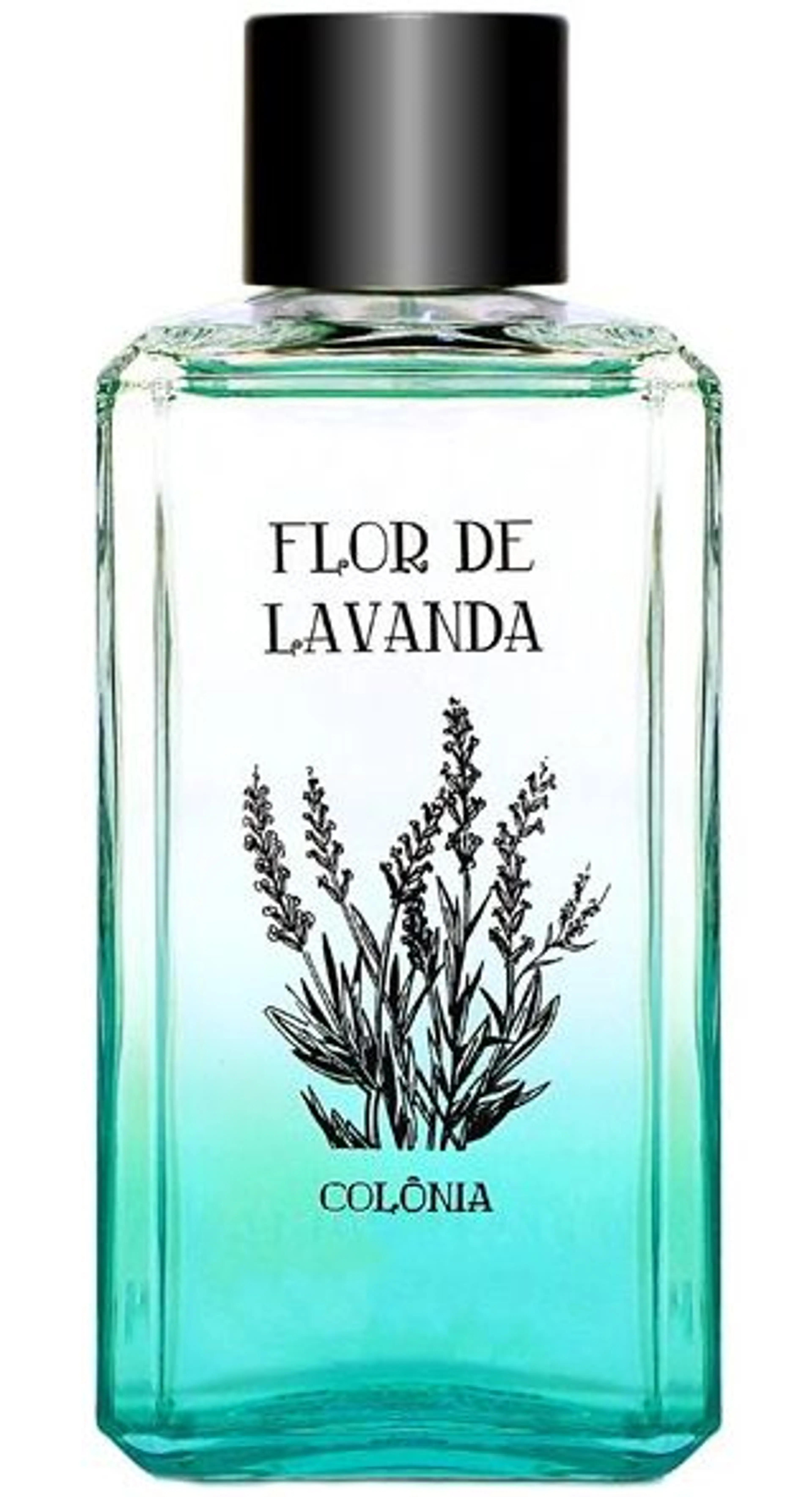 Flor de Lavanda