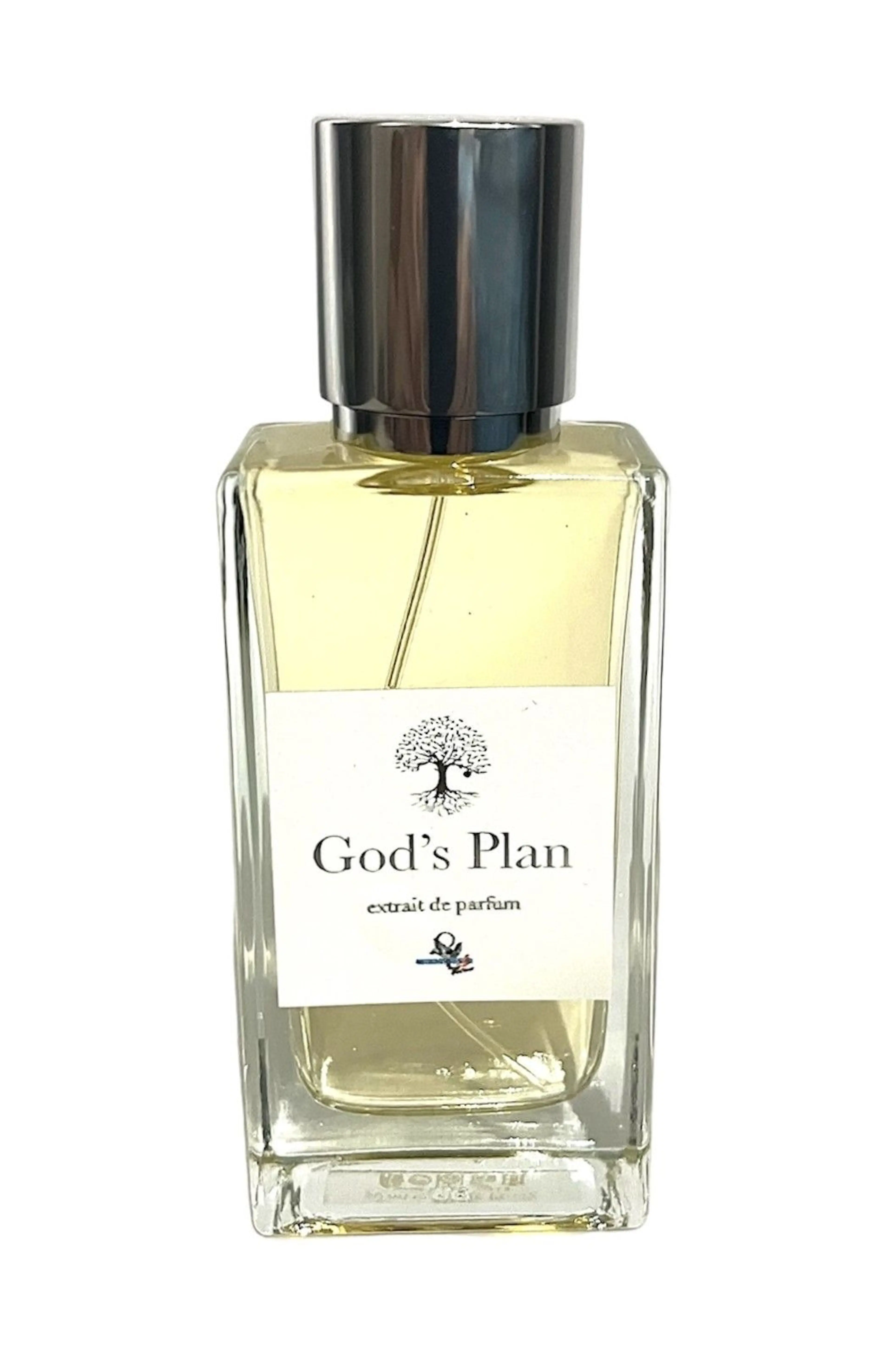 God's Plan
