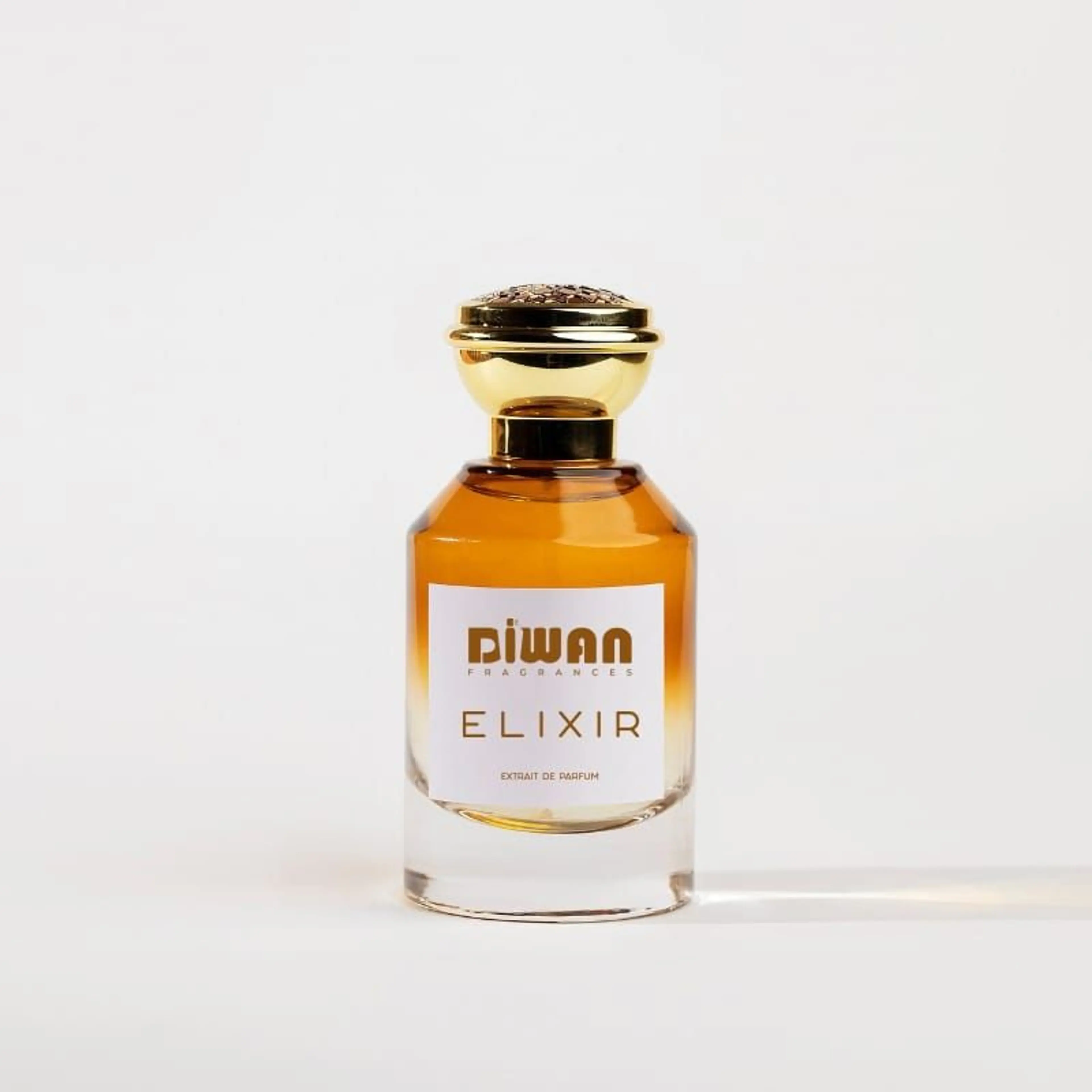 ELIXIR