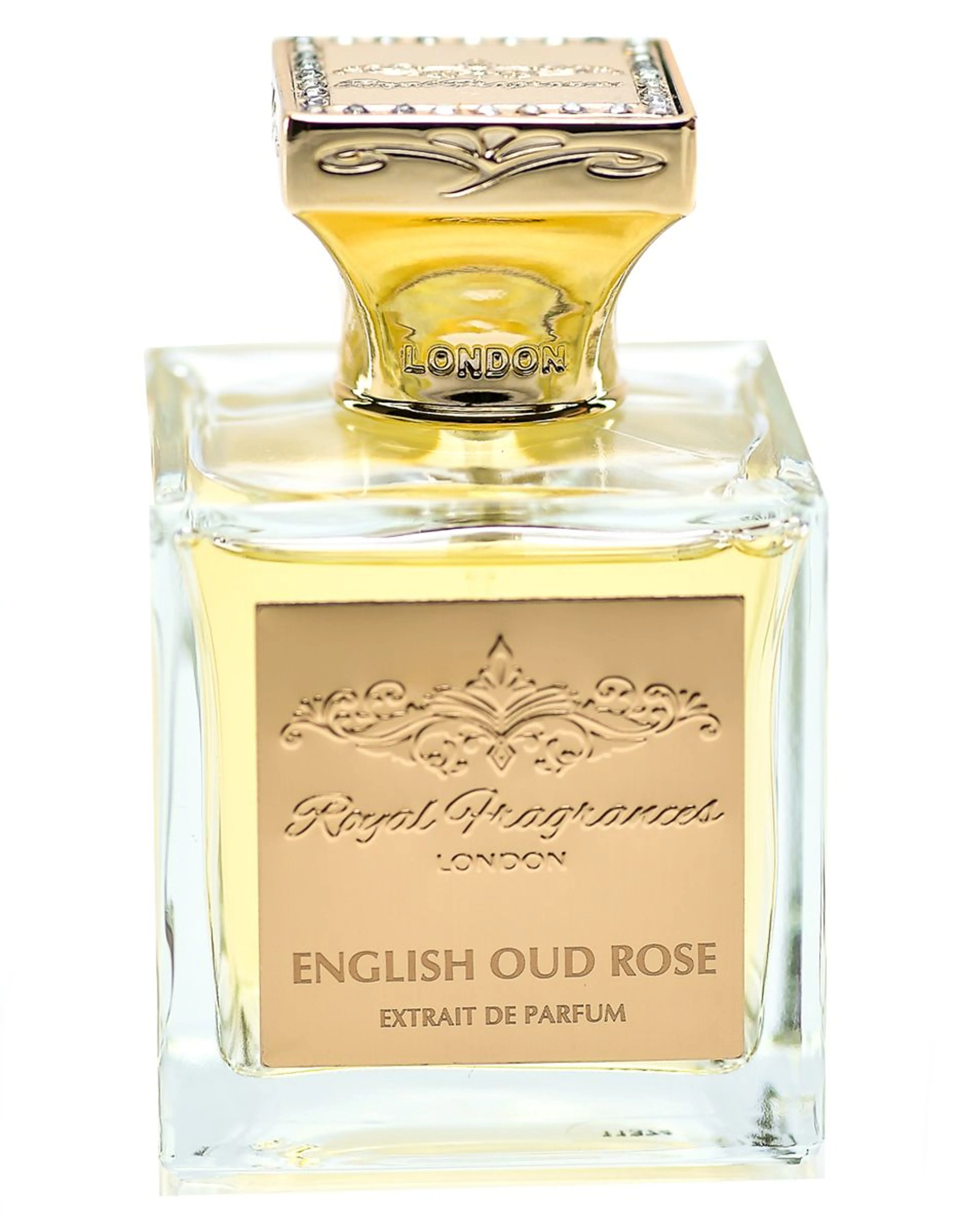English Oud Rose