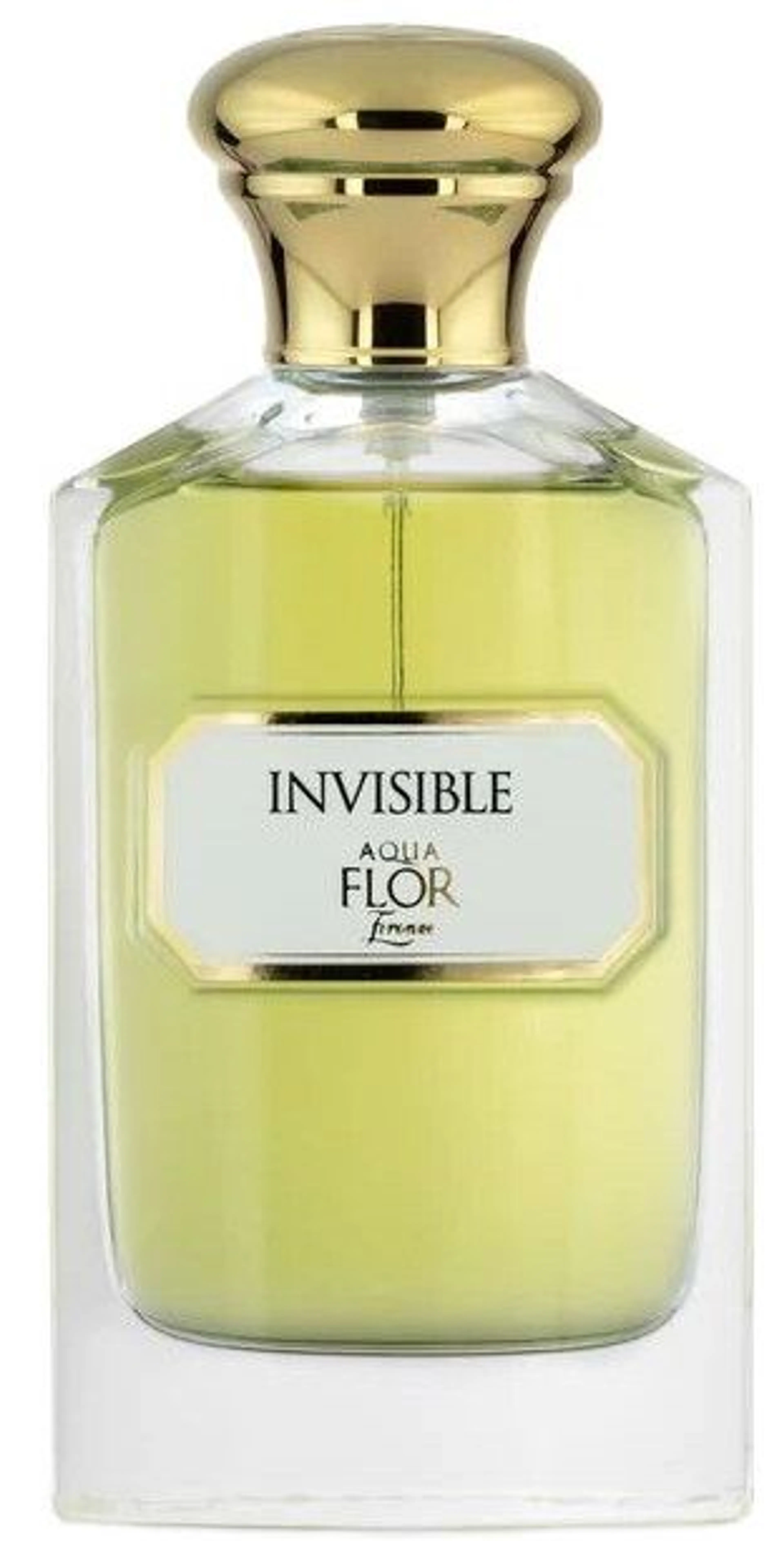 Invisible