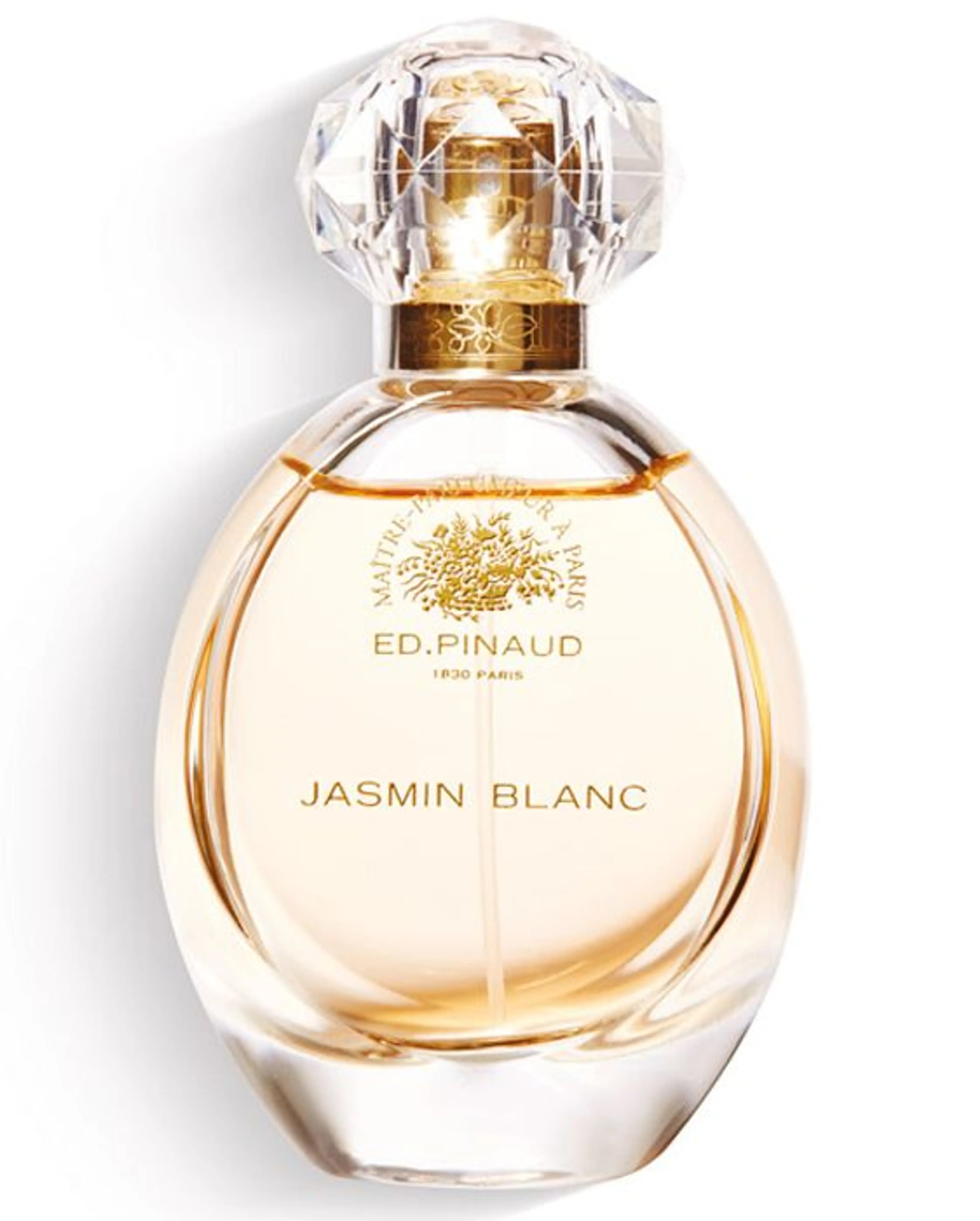 Jasmin Blanc