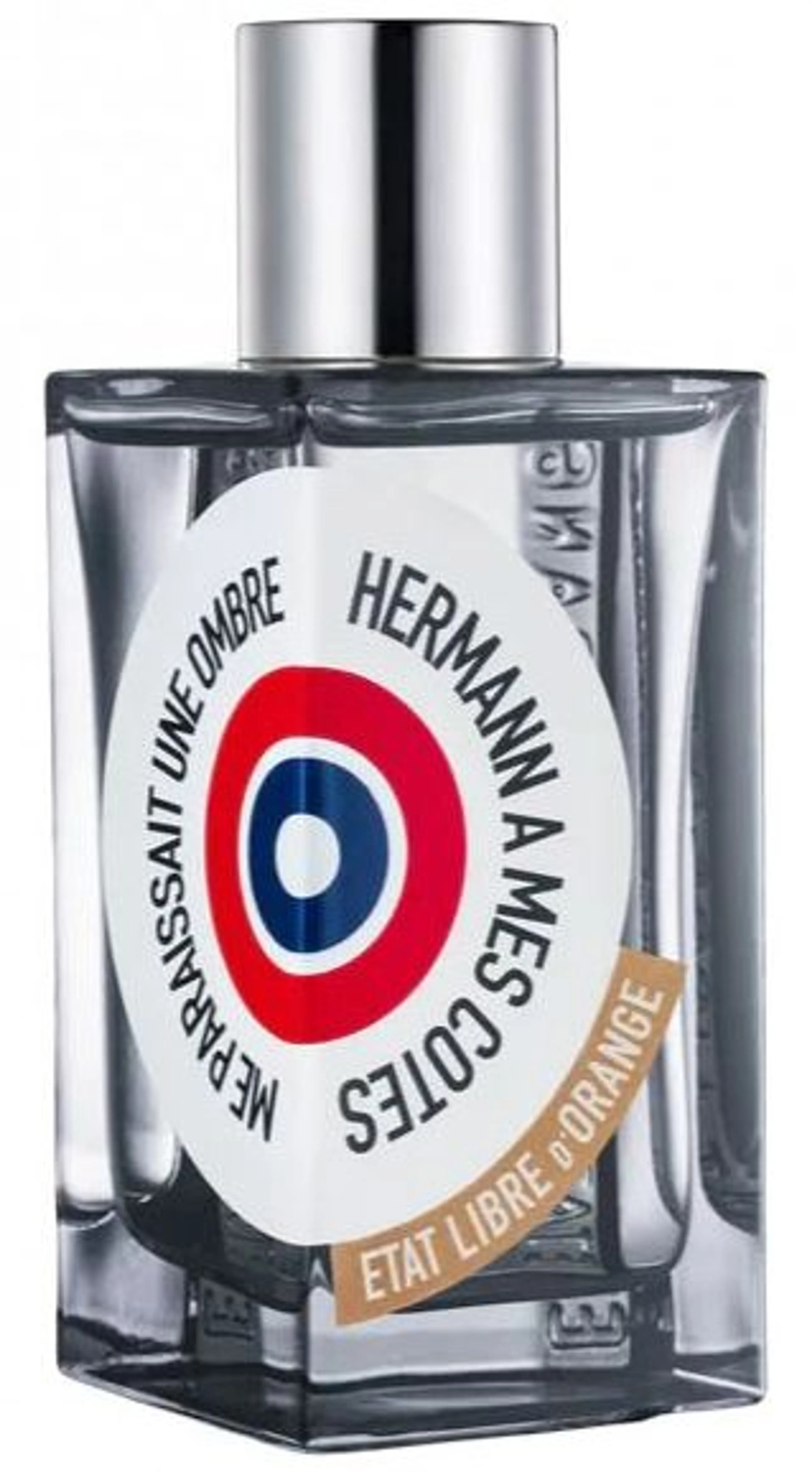 Hermann à mes Côtés me Paraissait une Ombre