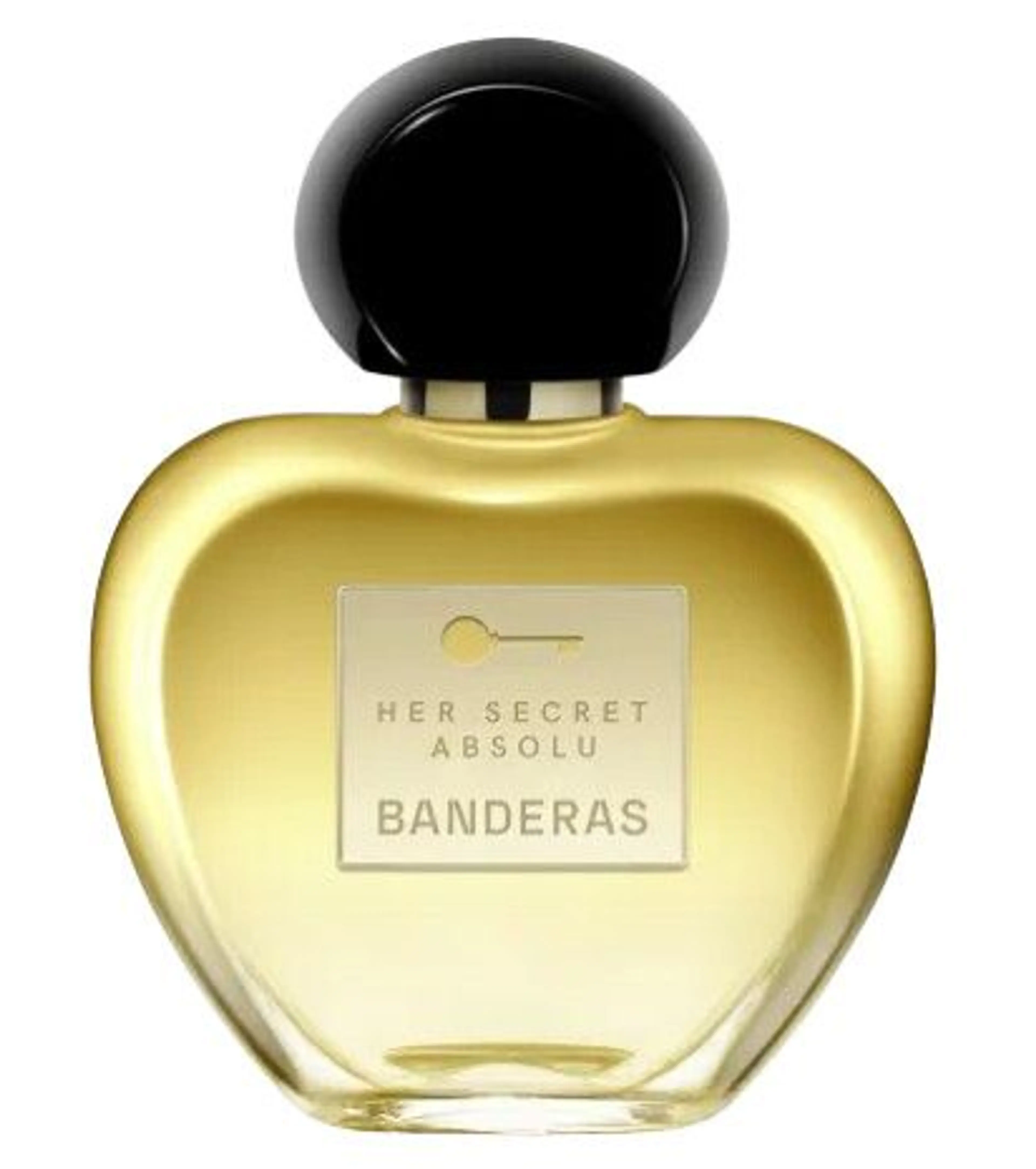 Her Secret Absolu