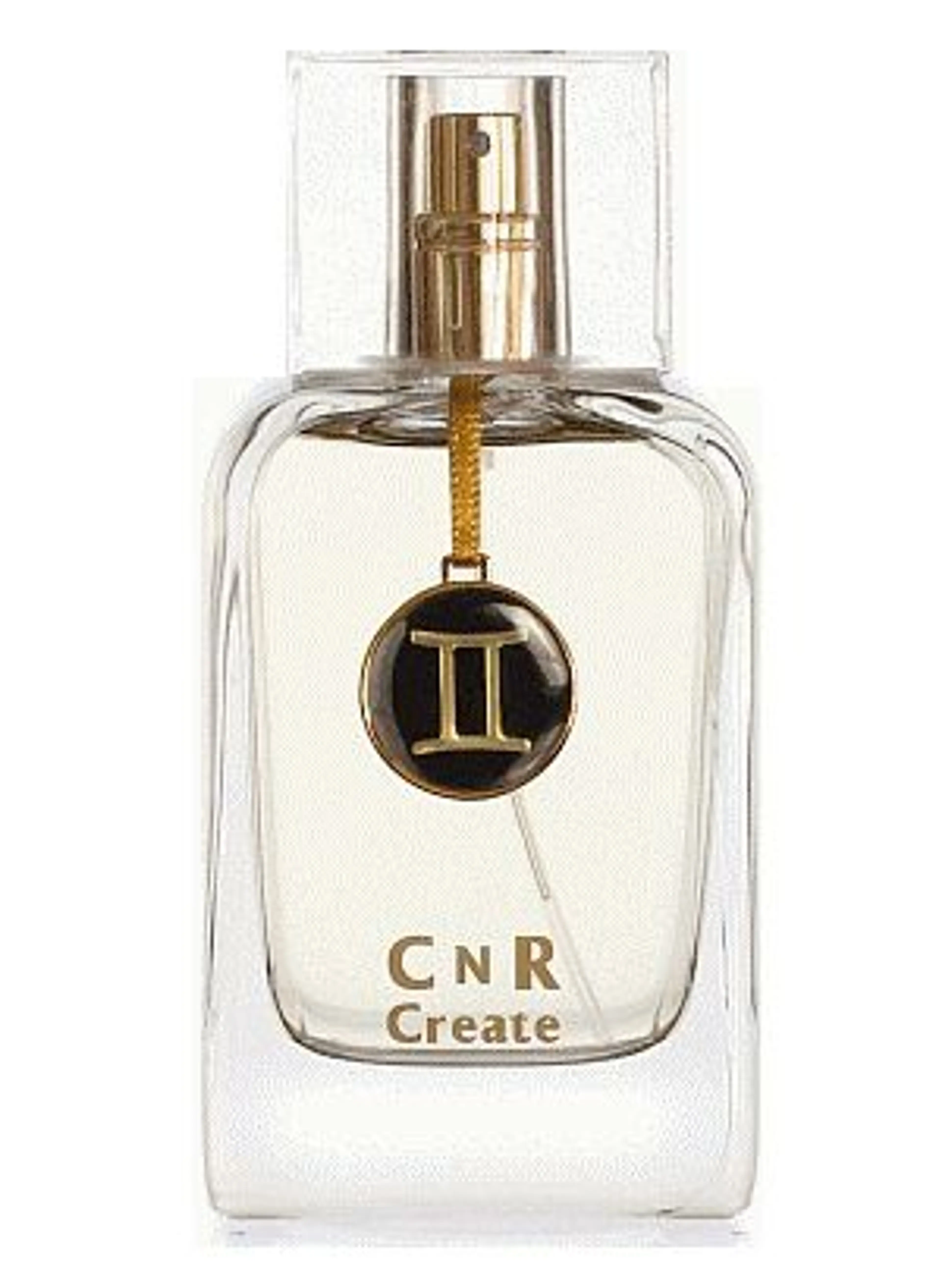 Gemini for Men