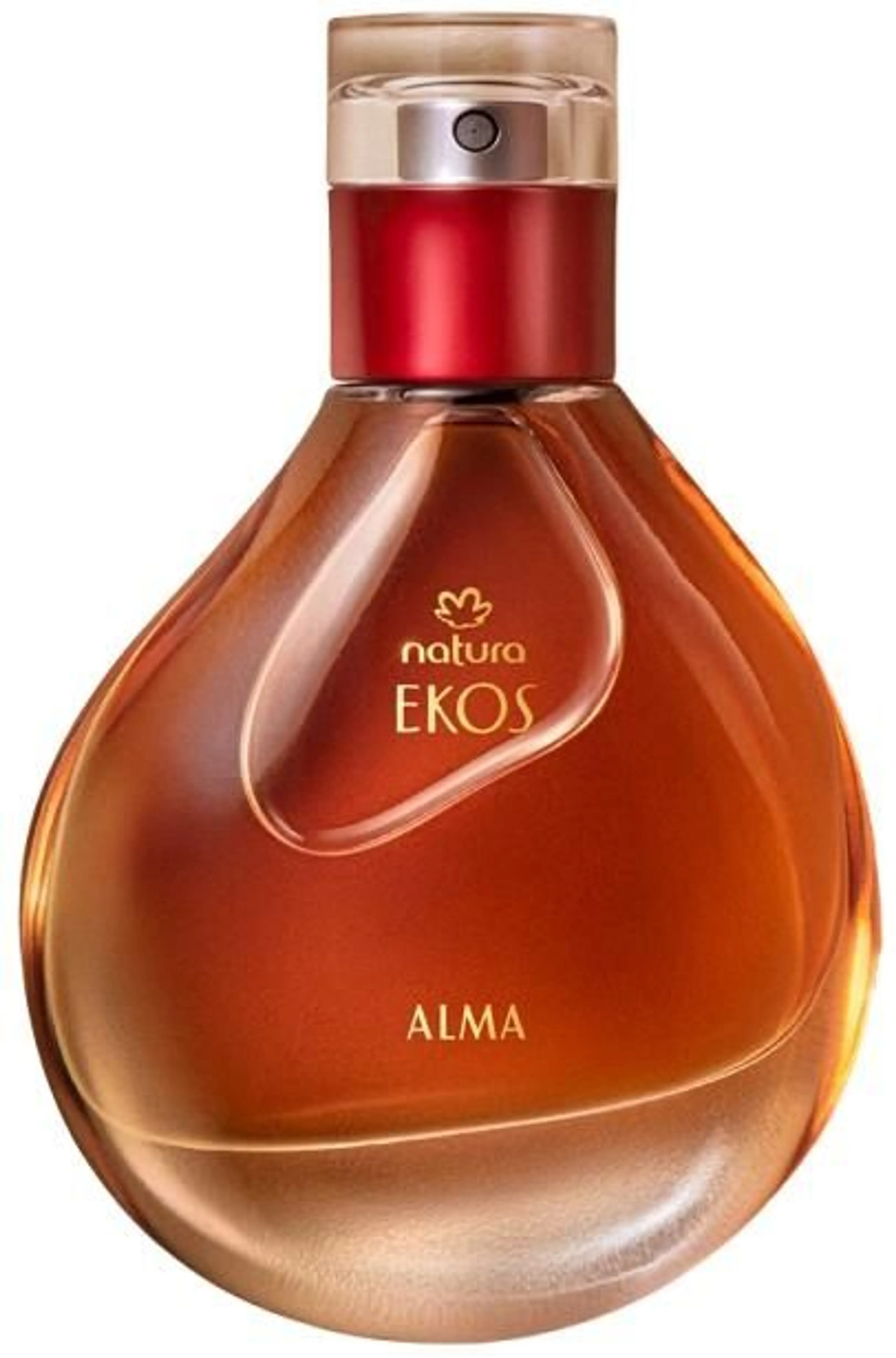 Ekos Alma 2025