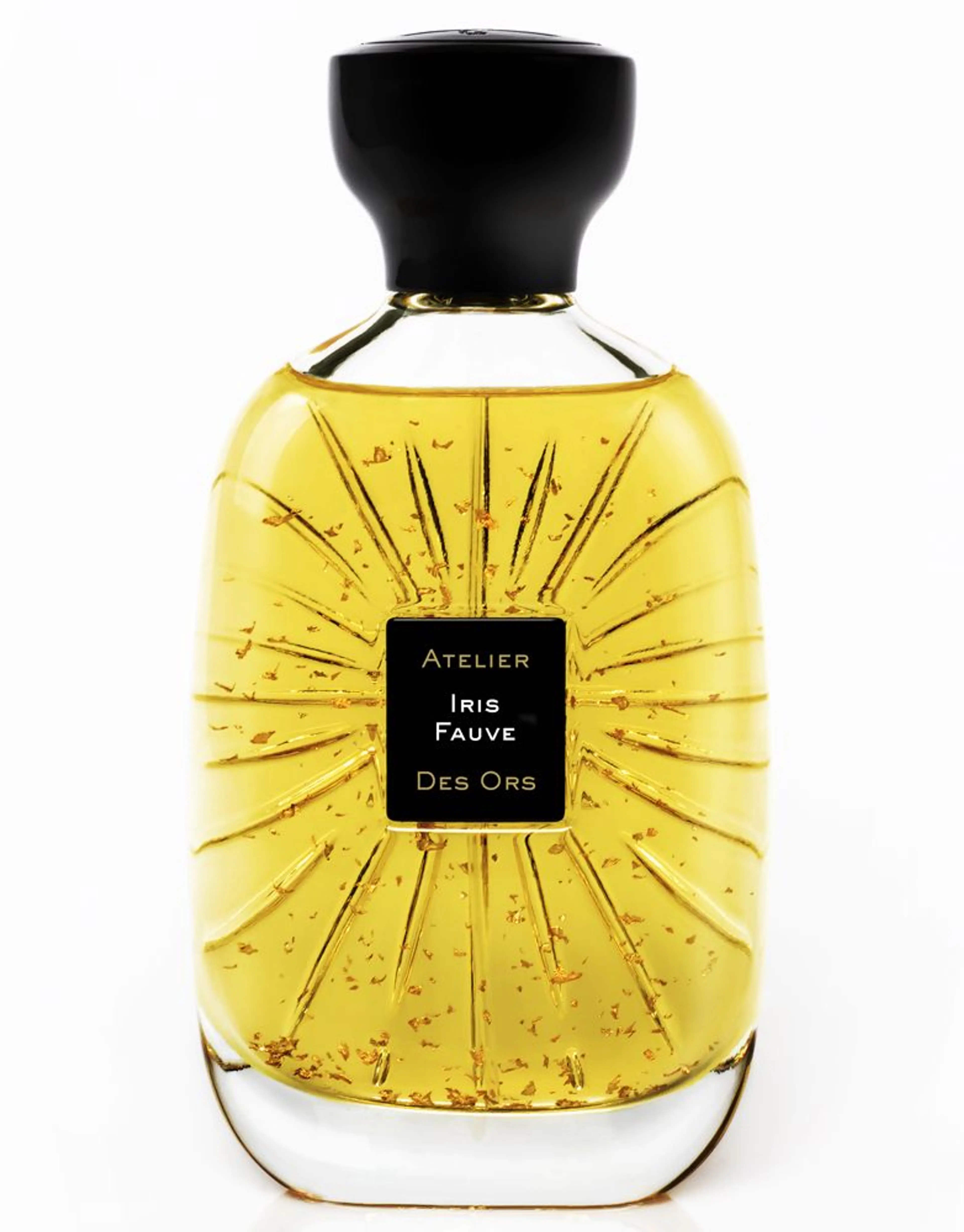 Iris Fauve