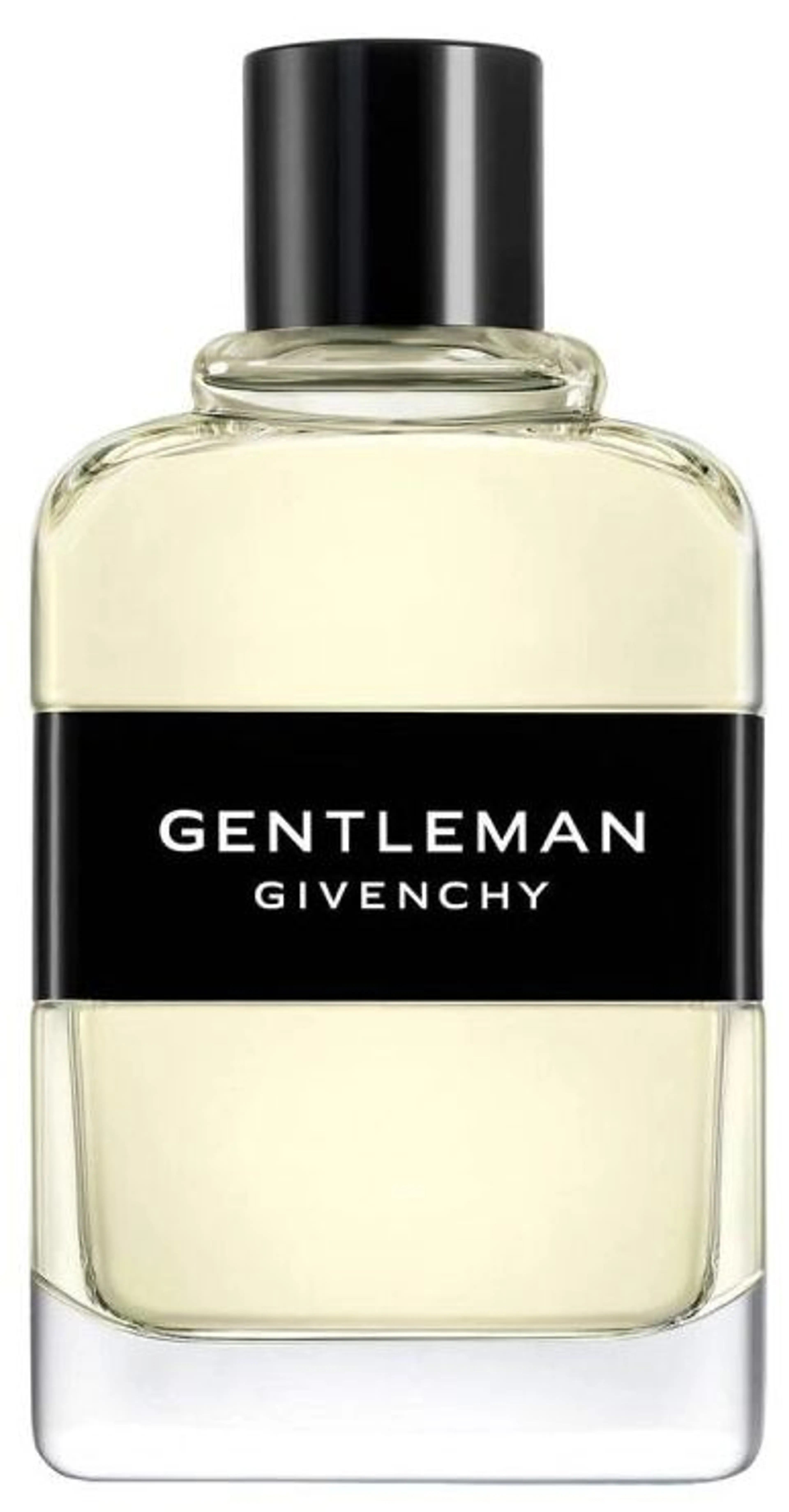 Gentleman (2017)