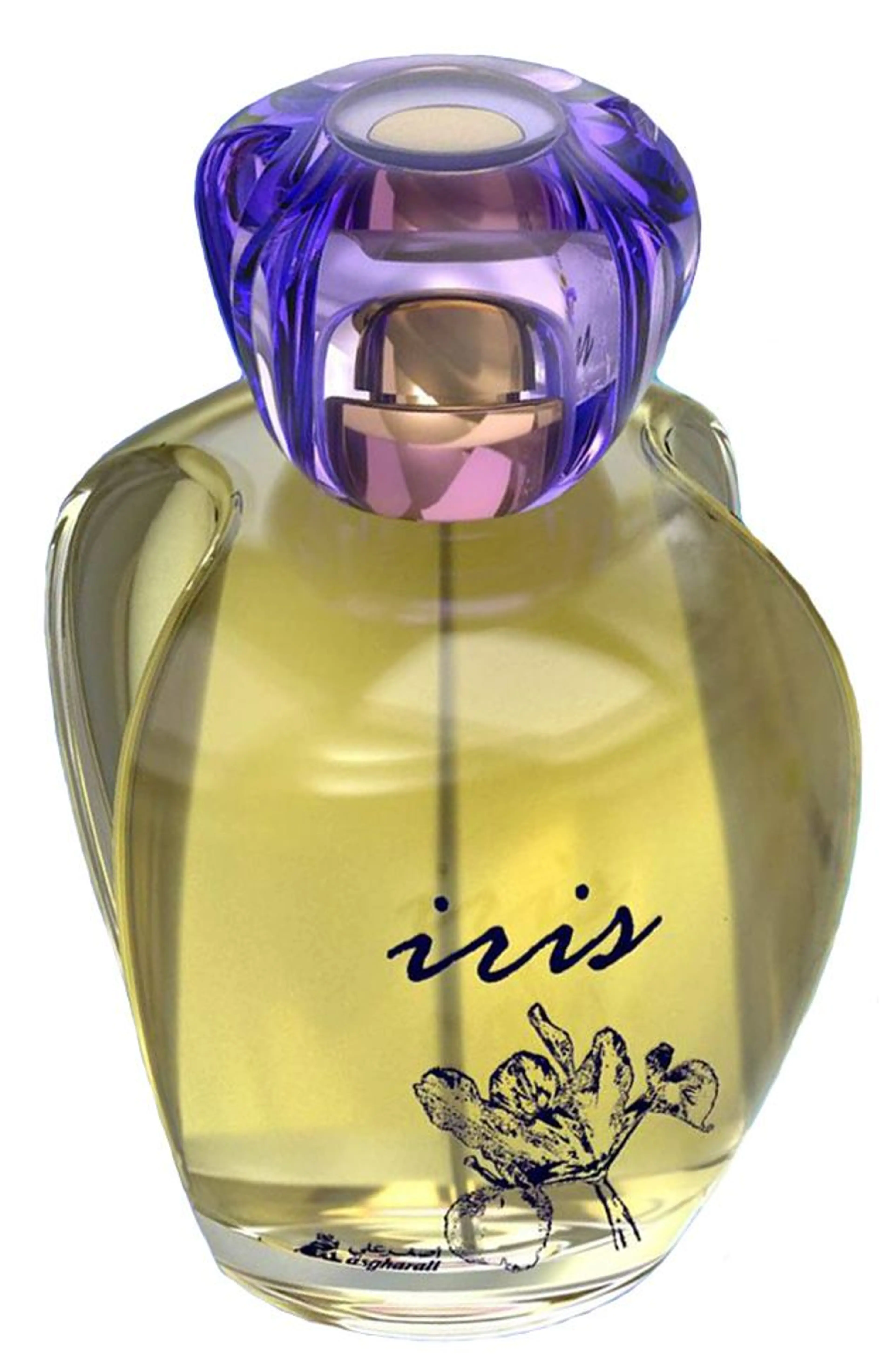 Iris