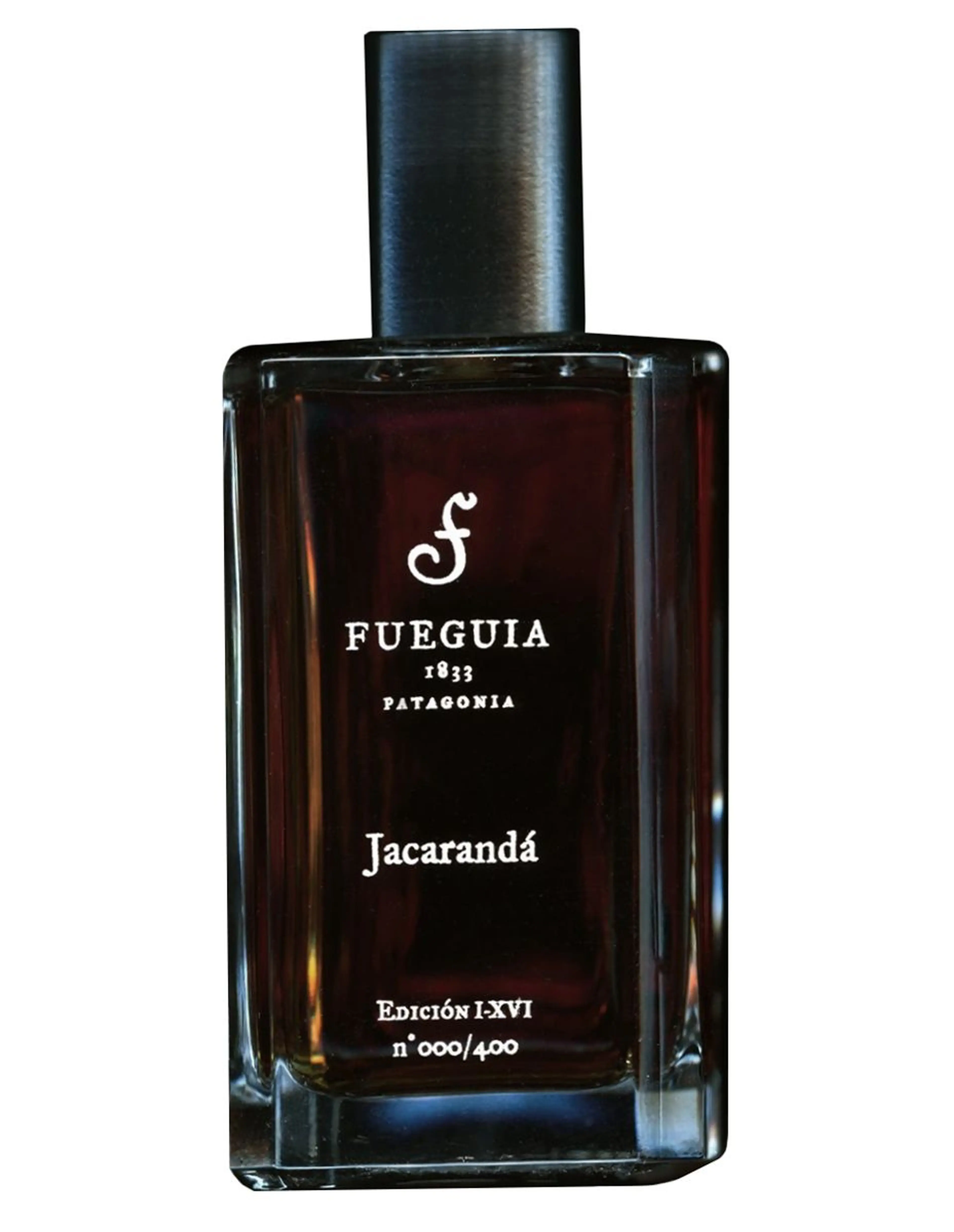 Jacarandá 2016 Edition