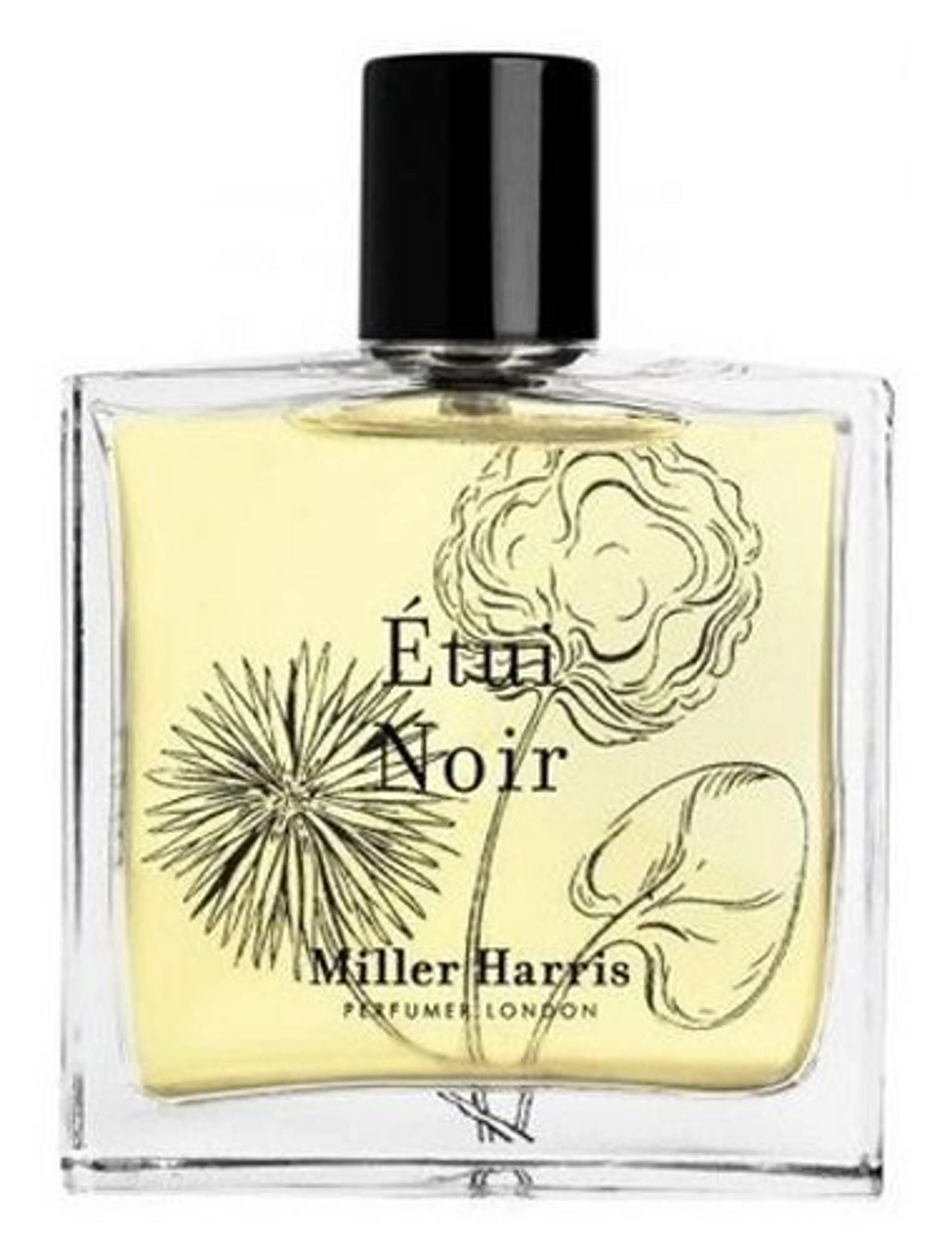 Étui Noir