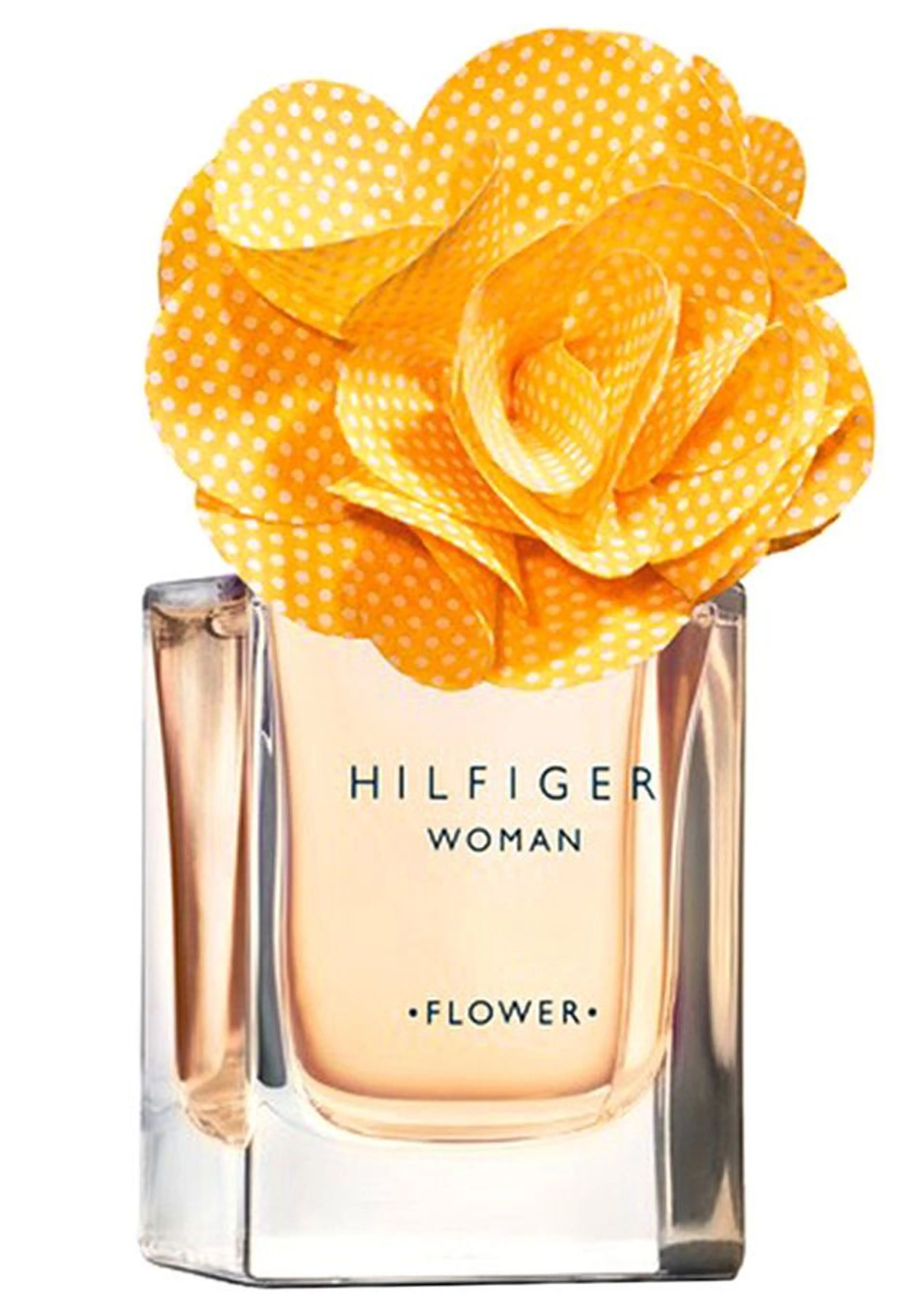Flower Marigold