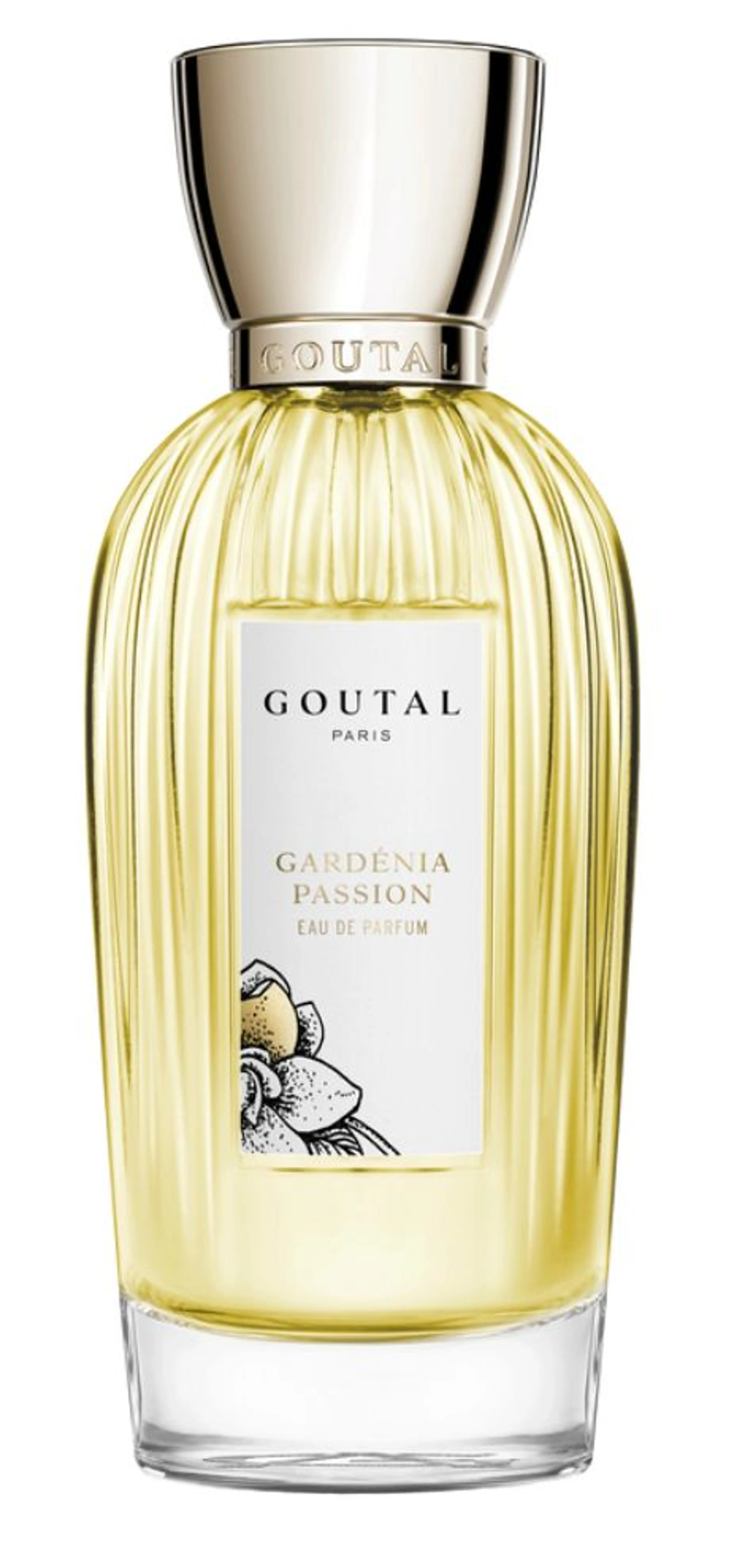 Gardenia Passion