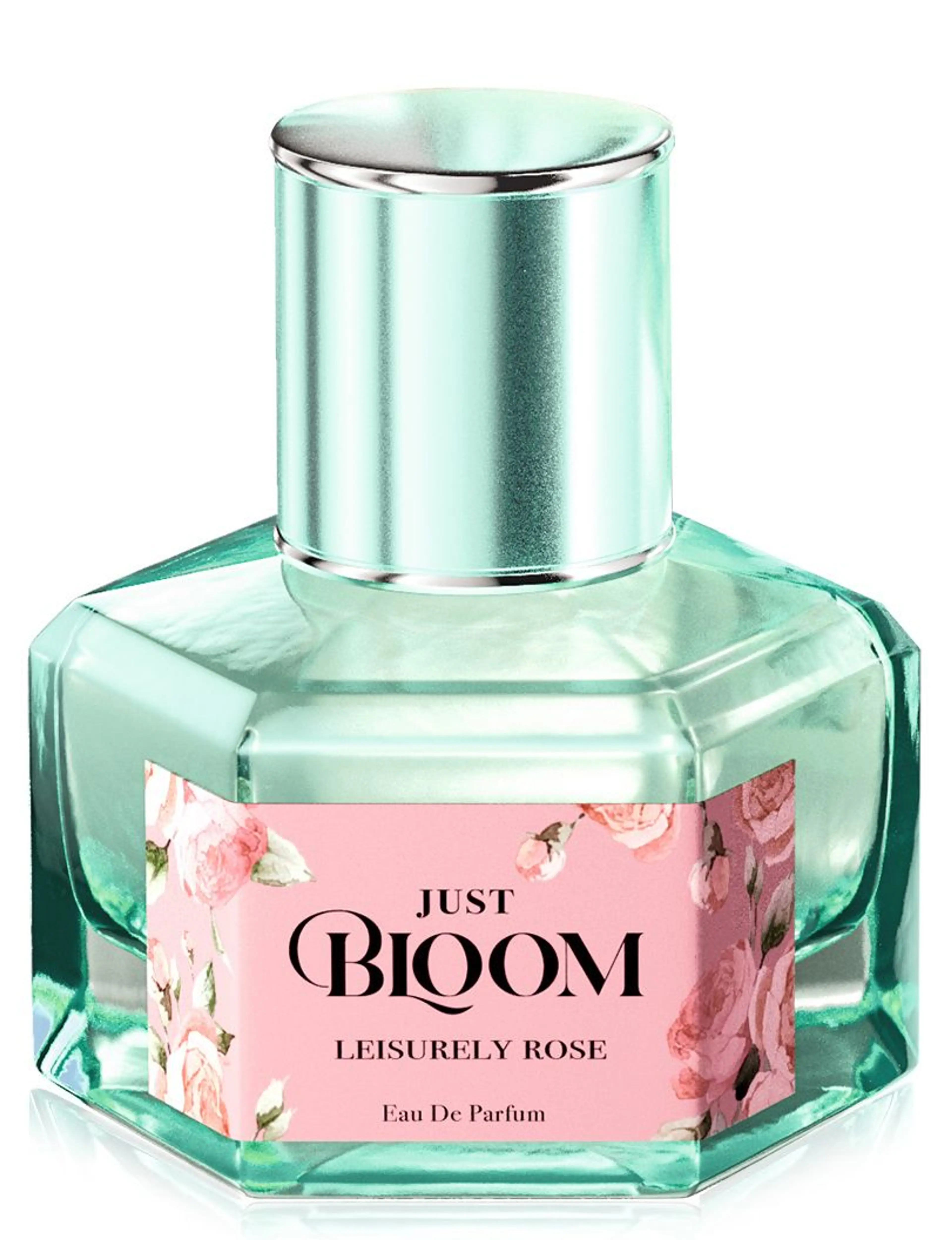 Just Bloom Leisurely Rose