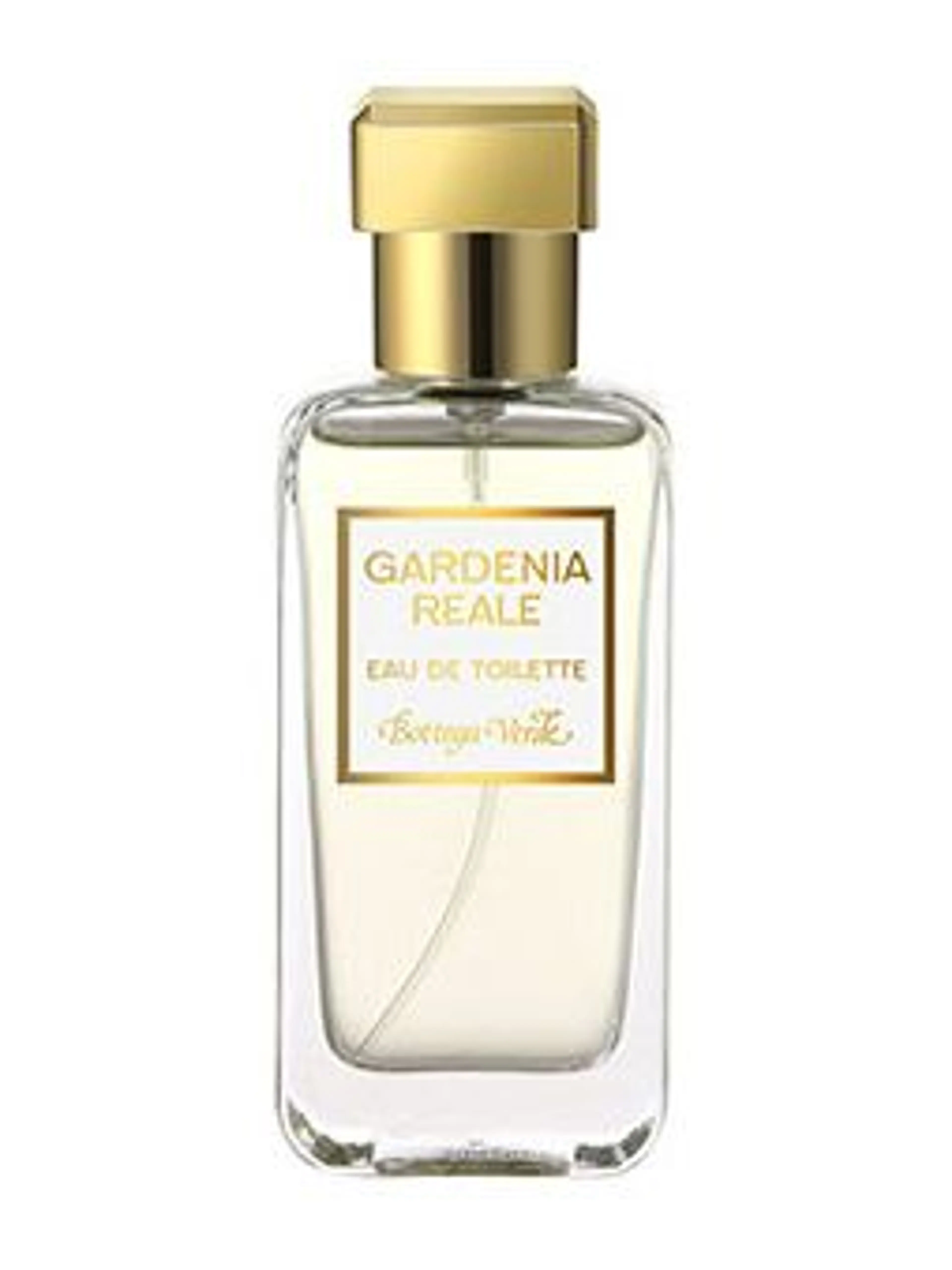 Gardenia Reale